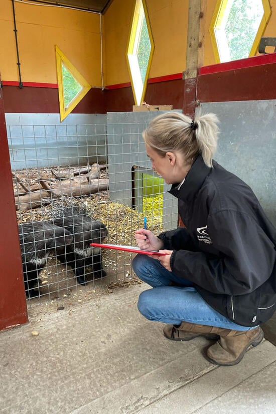 Article thumbnail image