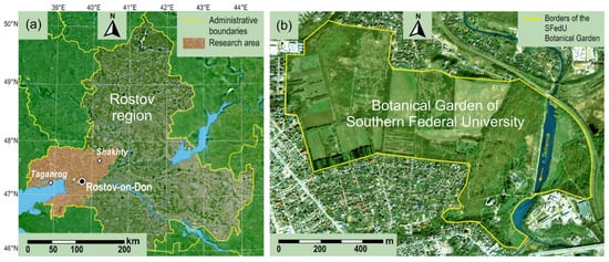 Study region: (a)—location of the study region; (b)—territory of the SFedU Botanical Garden.