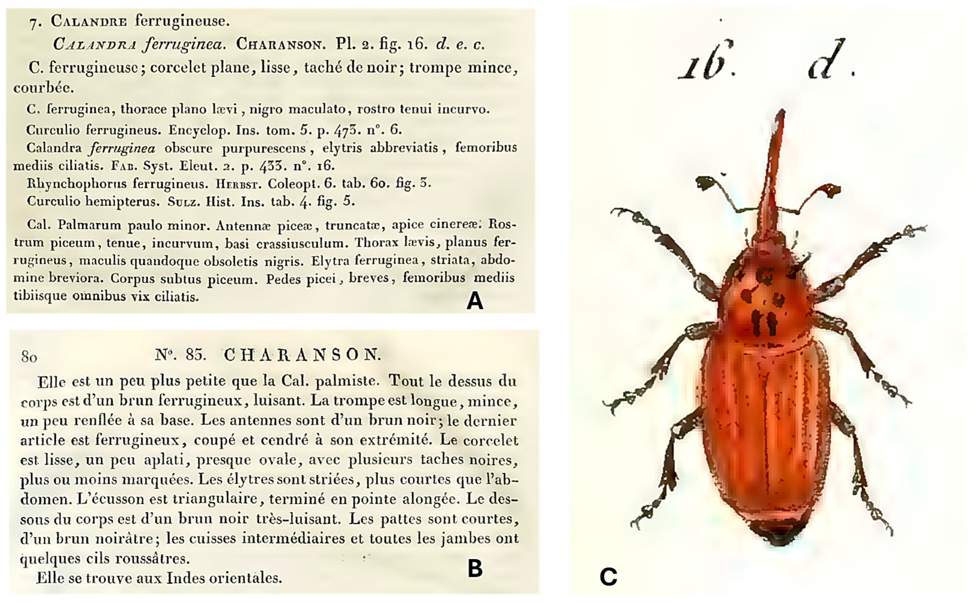 Jzbg 07 00008 g001 Jzbg 07 00008 g001