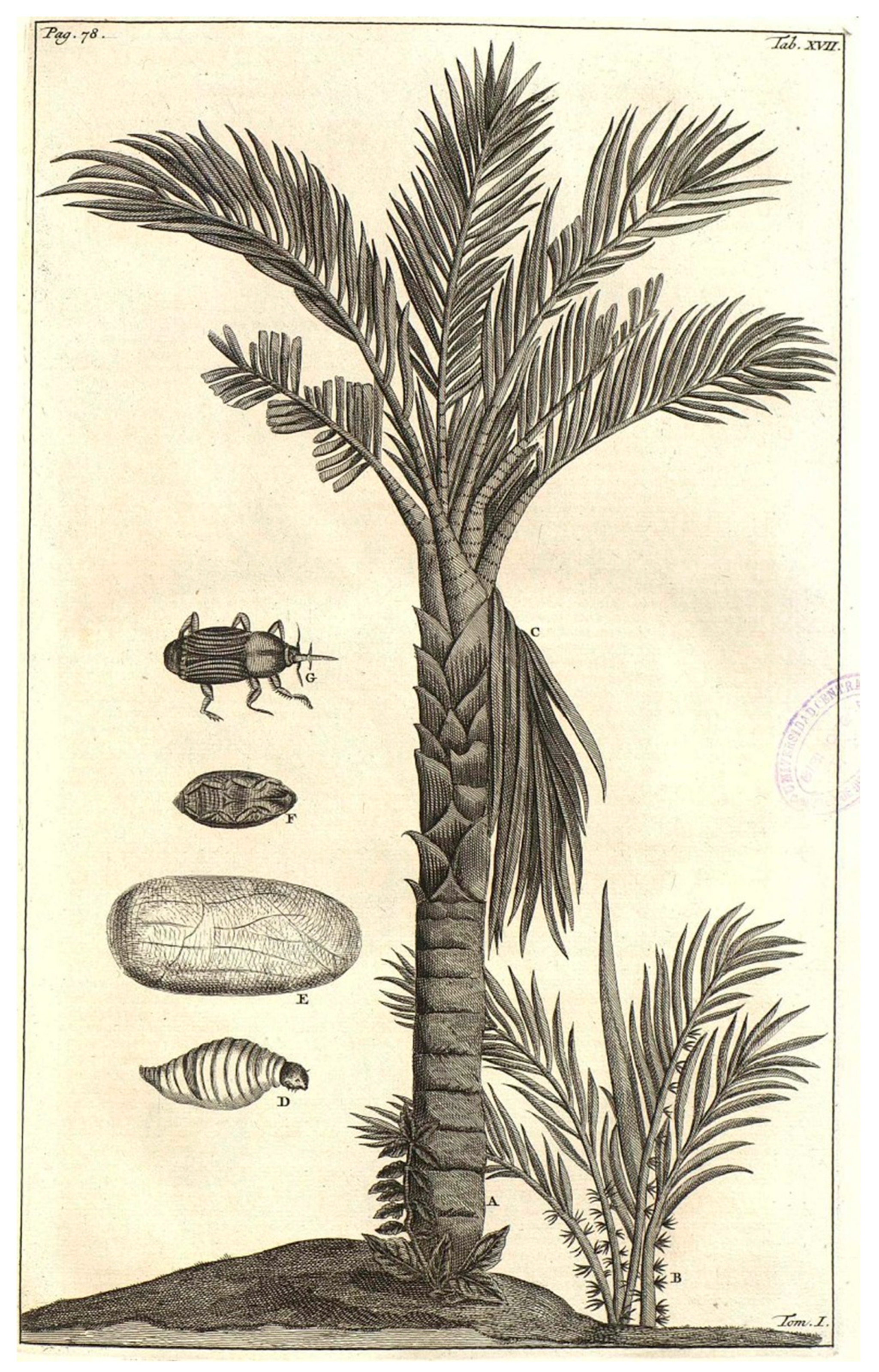 Jzbg 07 00008 g002 Jzbg 07 00008 g002