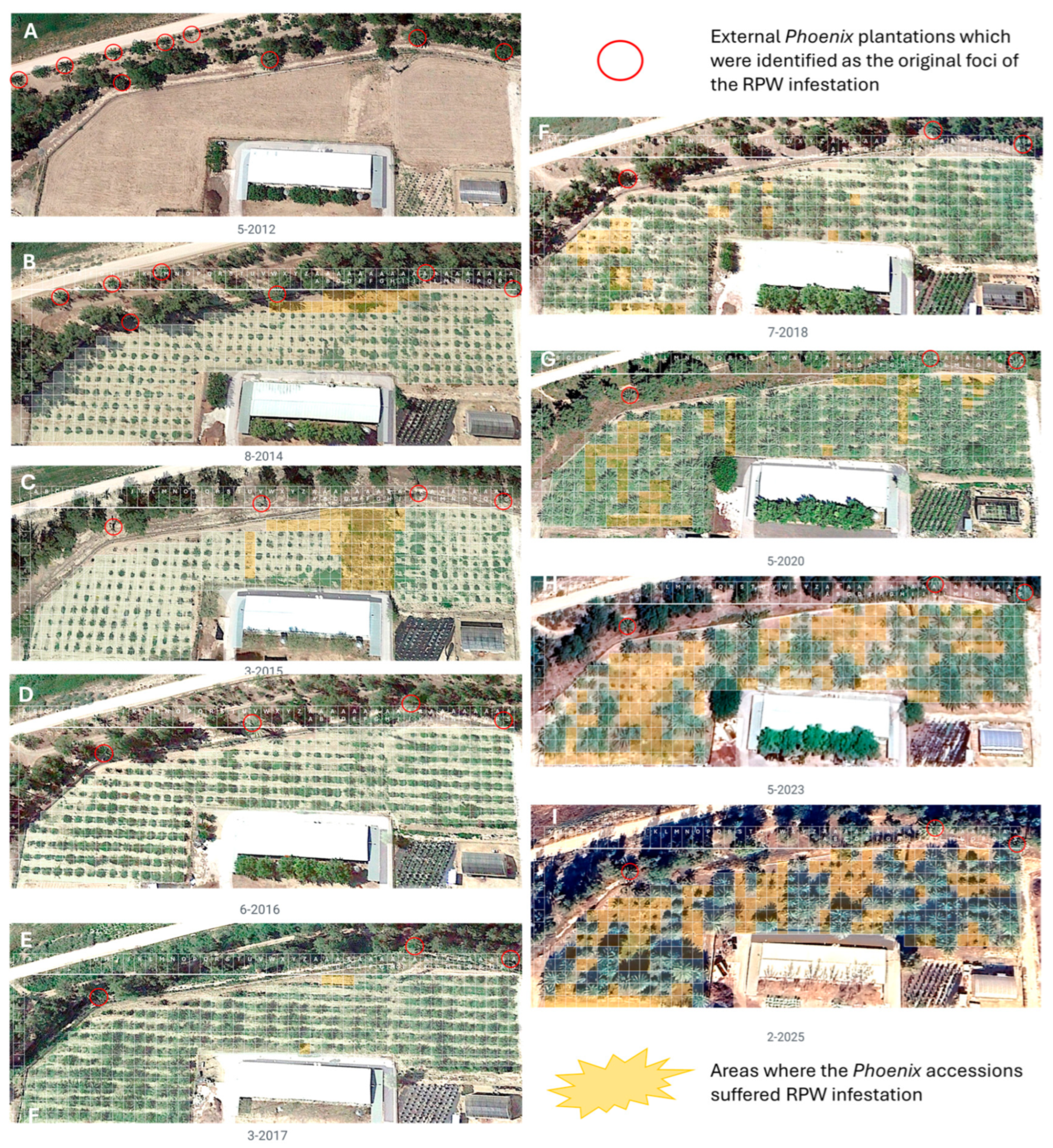 Jzbg 07 00008 g005 Jzbg 07 00008 g005