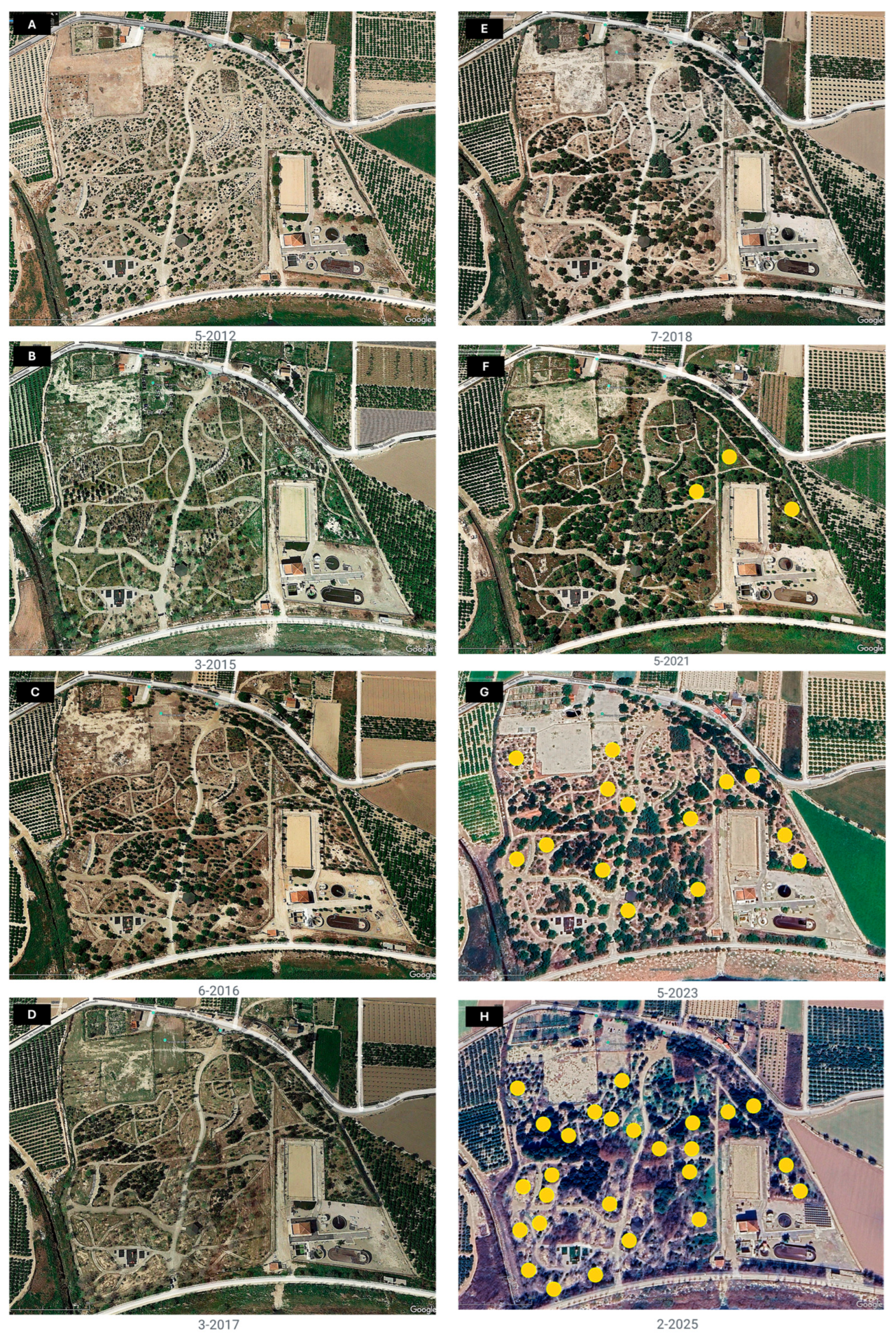 Jzbg 07 00008 g006 Jzbg 07 00008 g006