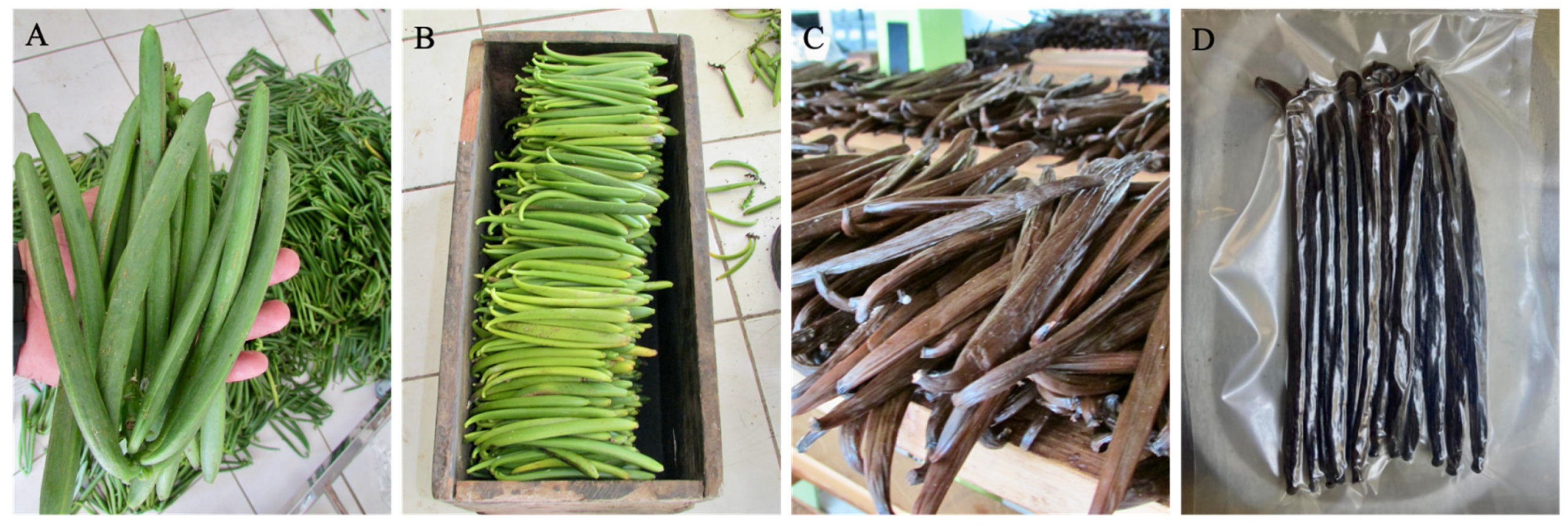 Jzbg 07 00009 g003 Jzbg 07 00009 g003