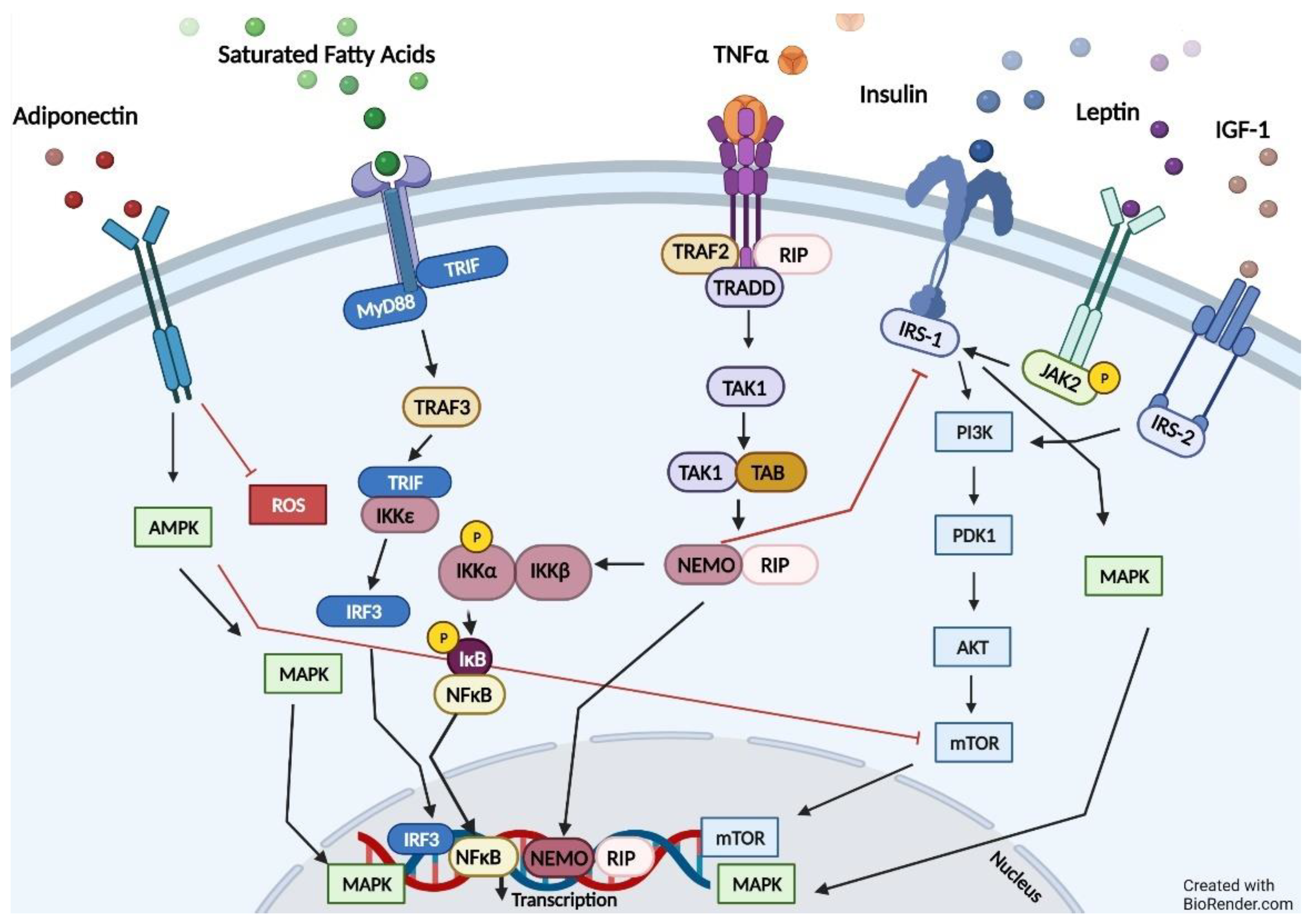 Kidneydial 02 00013 g003 Kidneydial 02 00013 g003