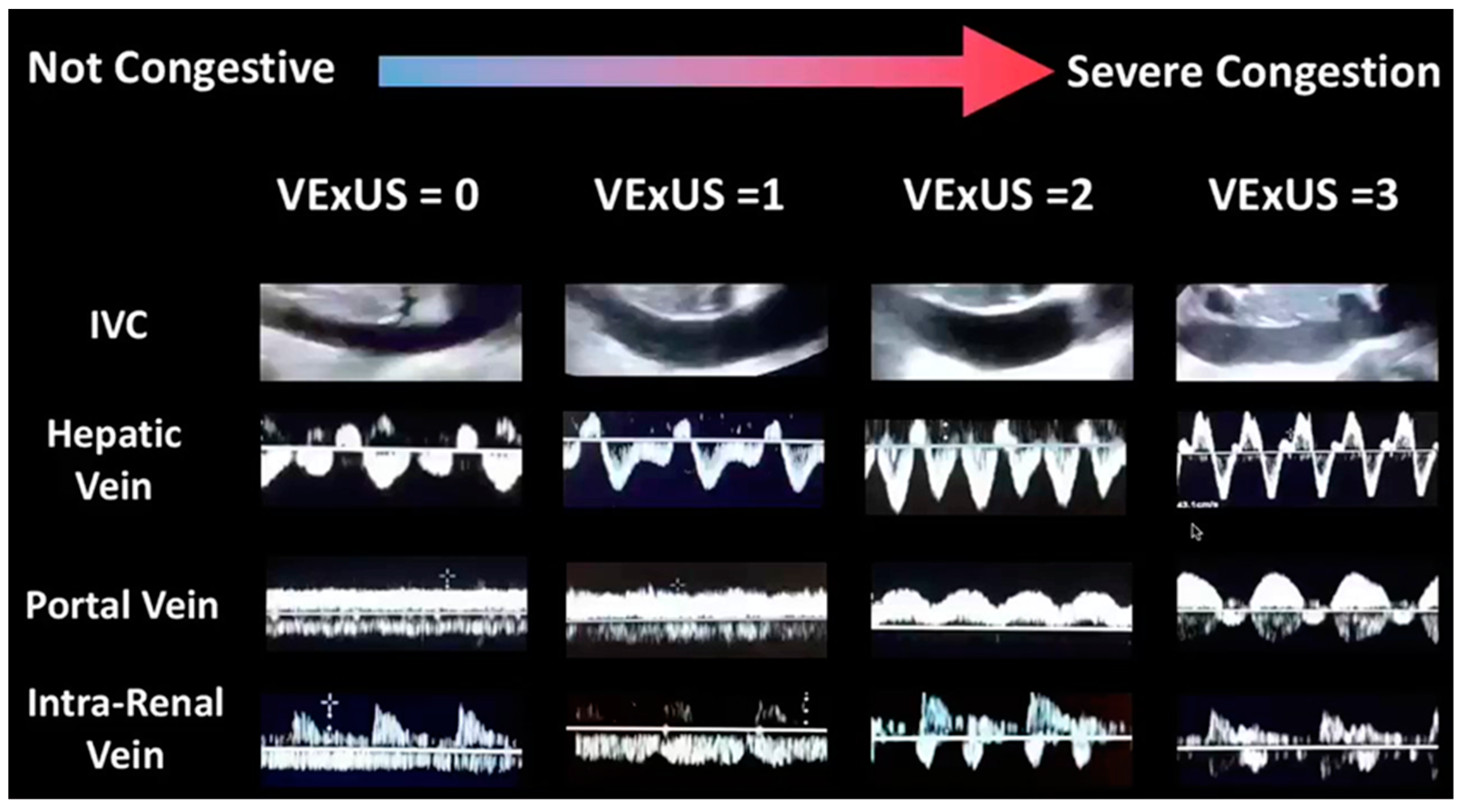 Kidneydial 02 00017 g001