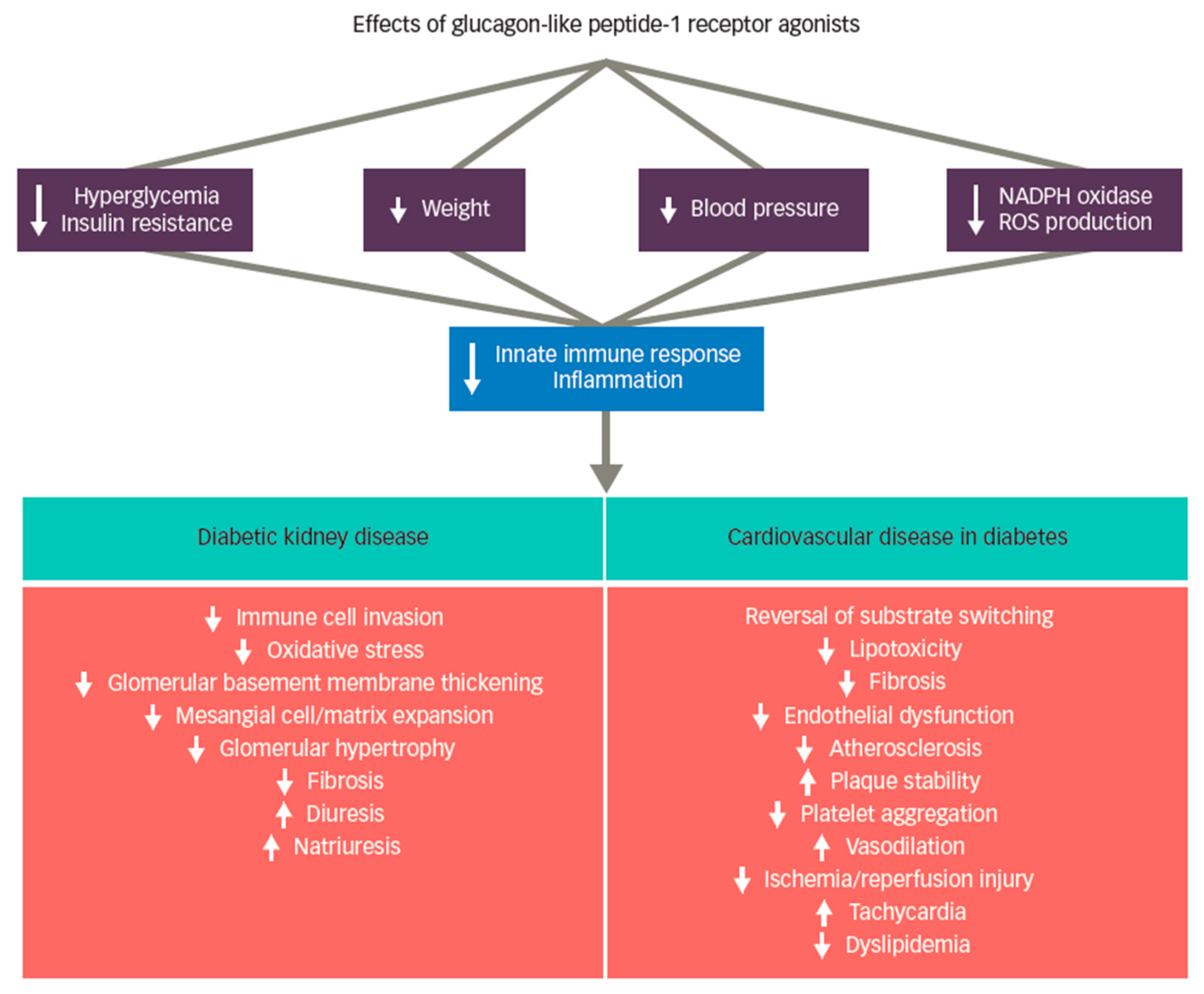Kidneydial 02 00034 g001