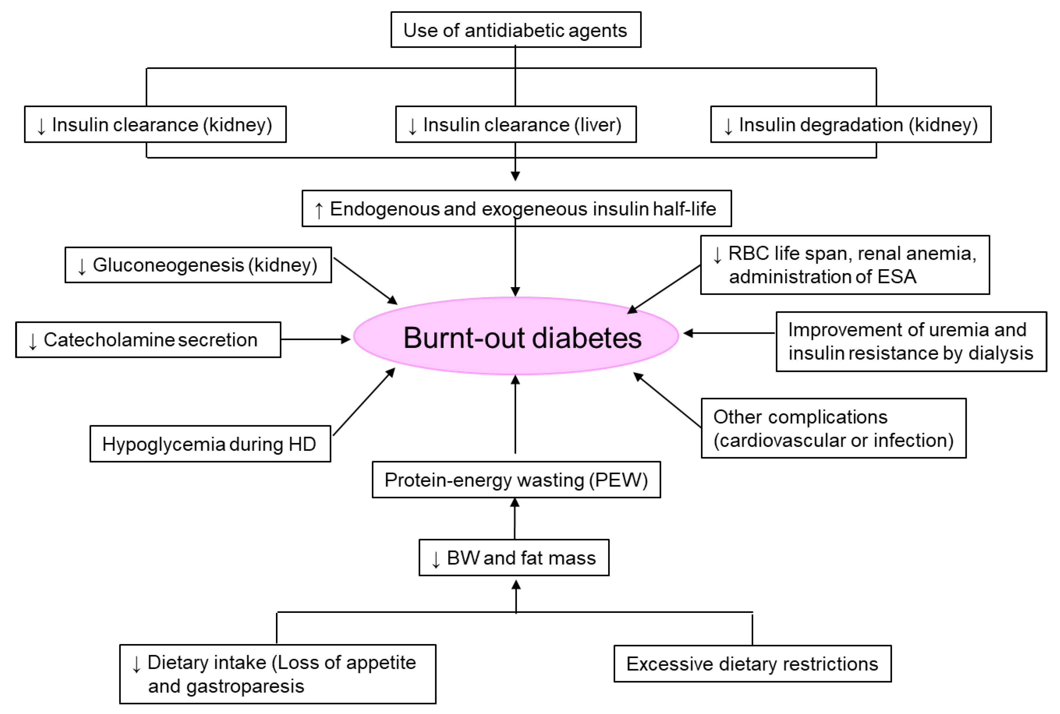 Kidneydial 02 00045 g005
