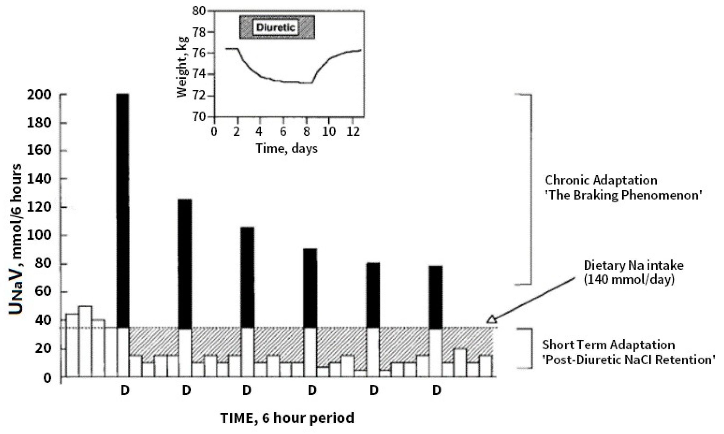 Kidneydial 03 00005 g002