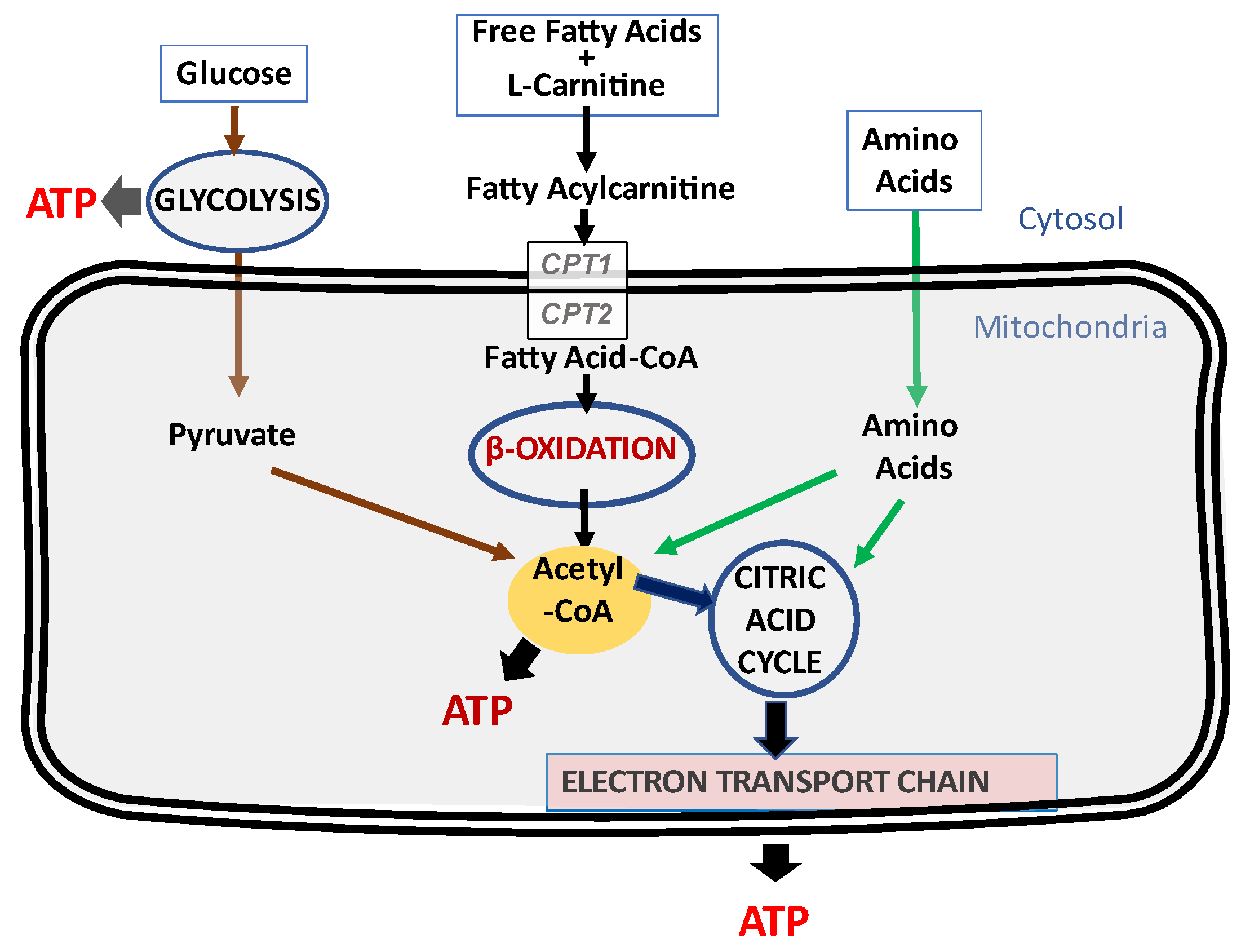 Kidneydial 03 00016 g002