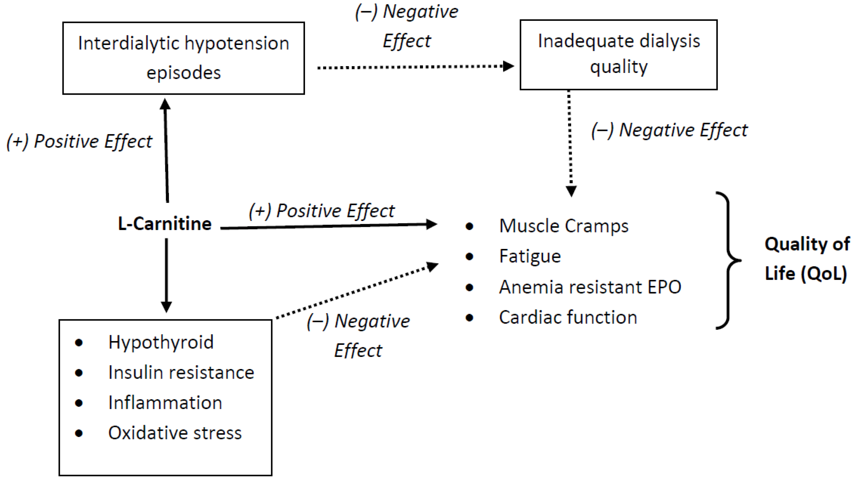 Kidneydial 03 00016 g004