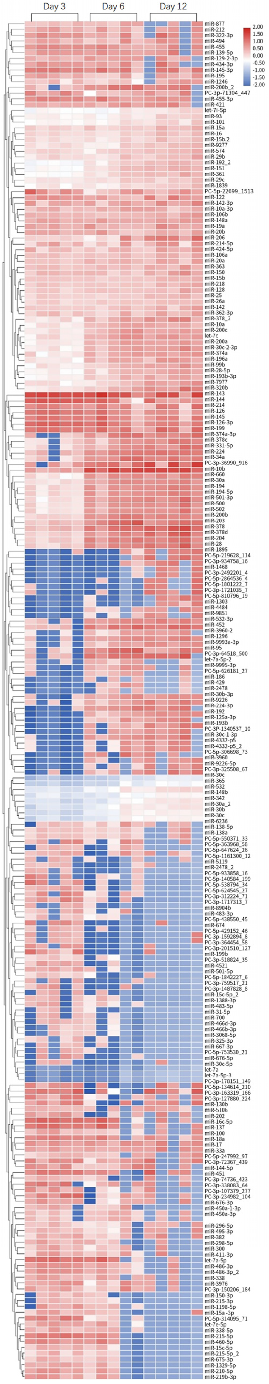 Kidneydial 03 00019 g003
