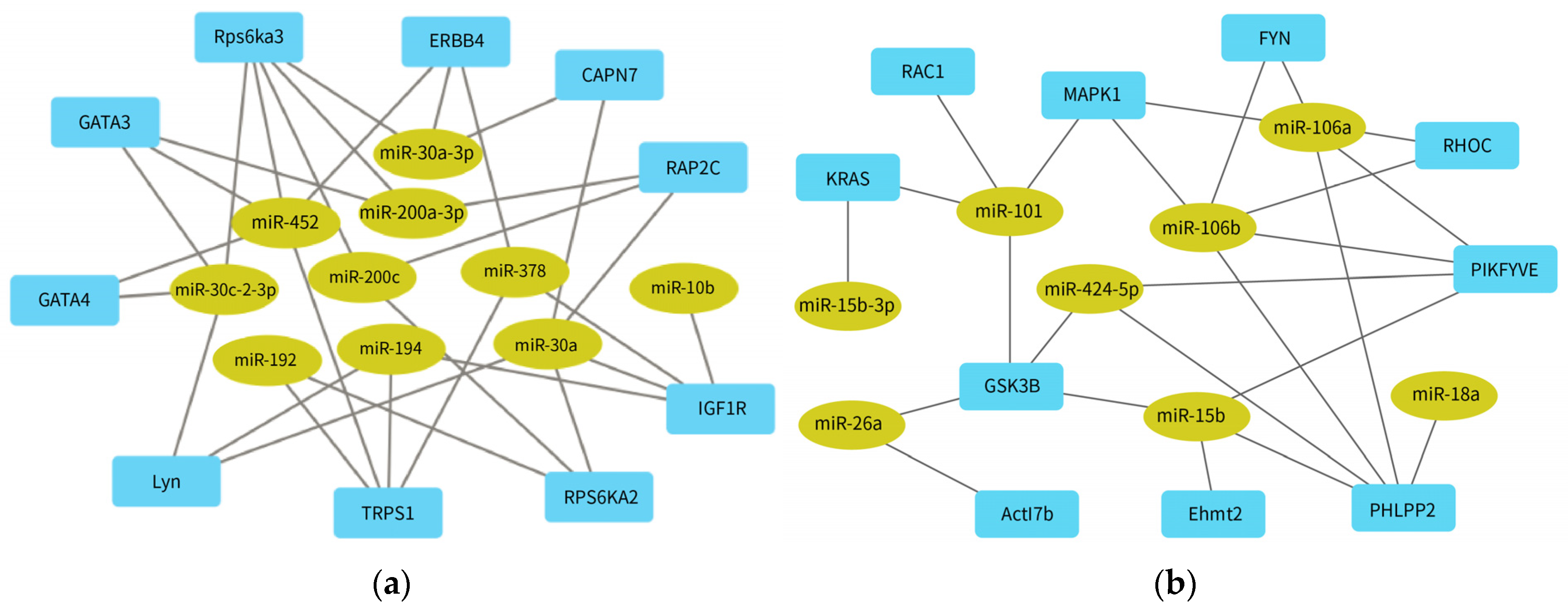 Kidneydial 03 00019 g005
