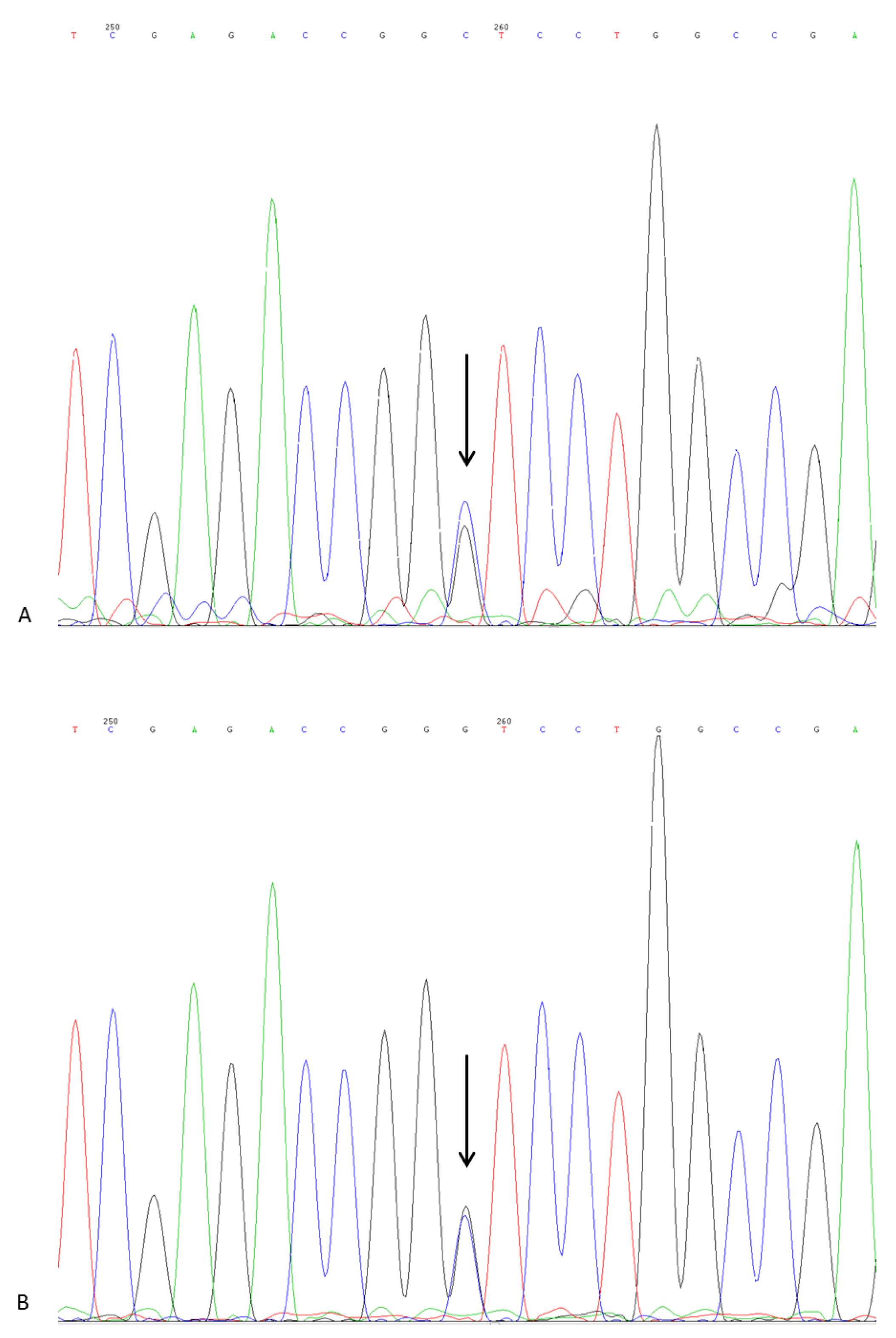 Kidneydial 03 00023 g004