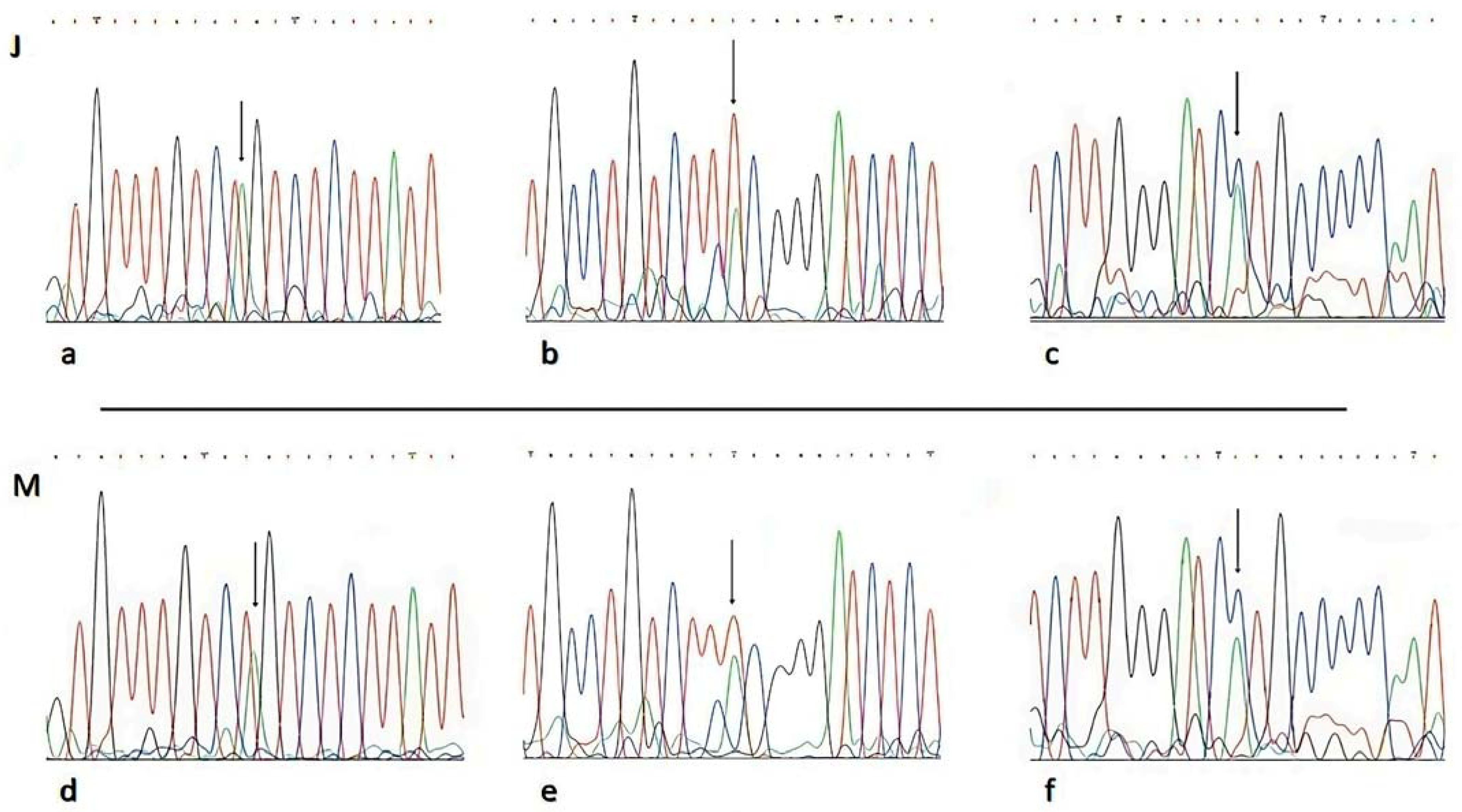 Kidneydial 03 00023 g005