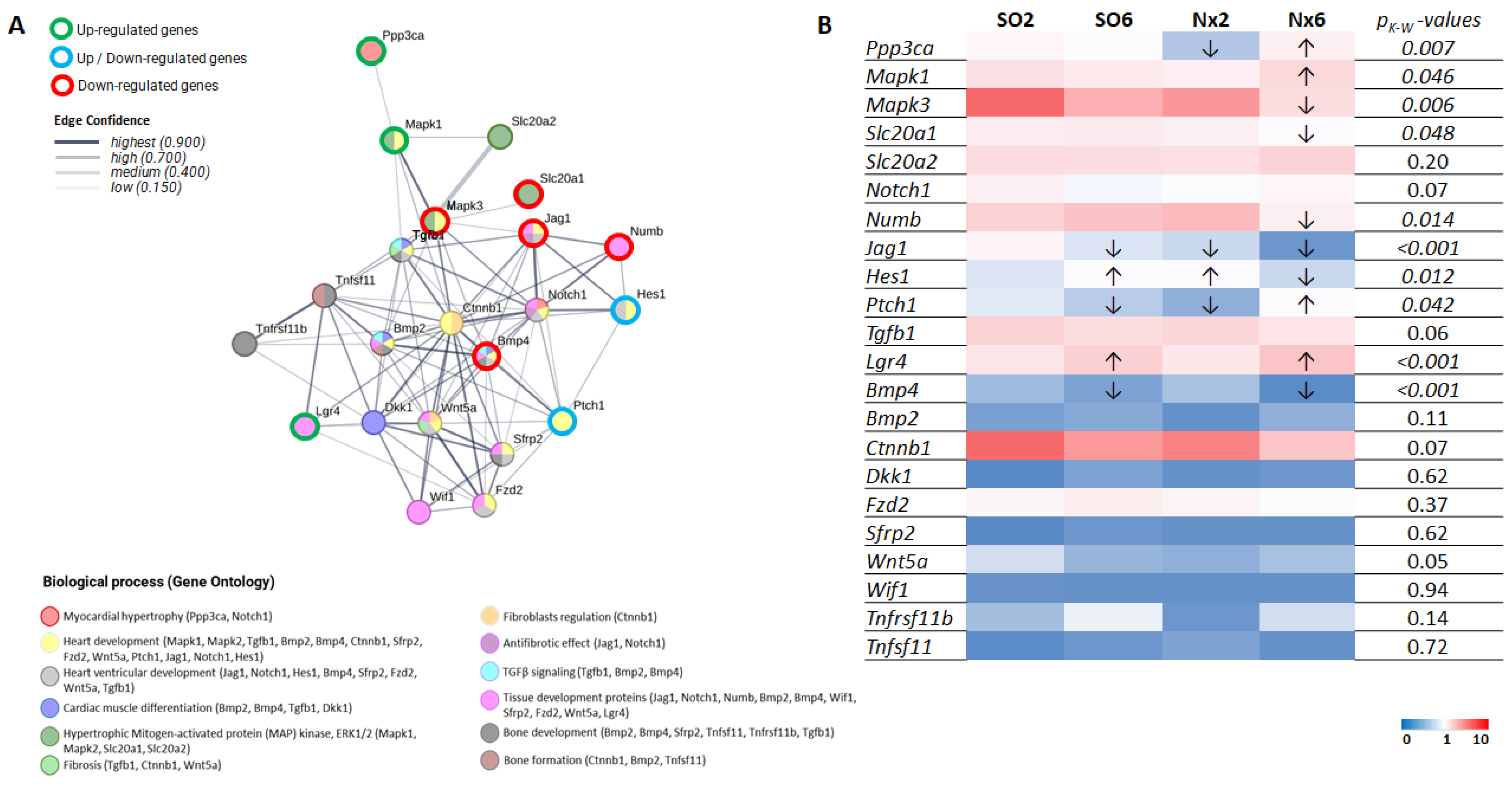 Kidneydial 03 00028 g002