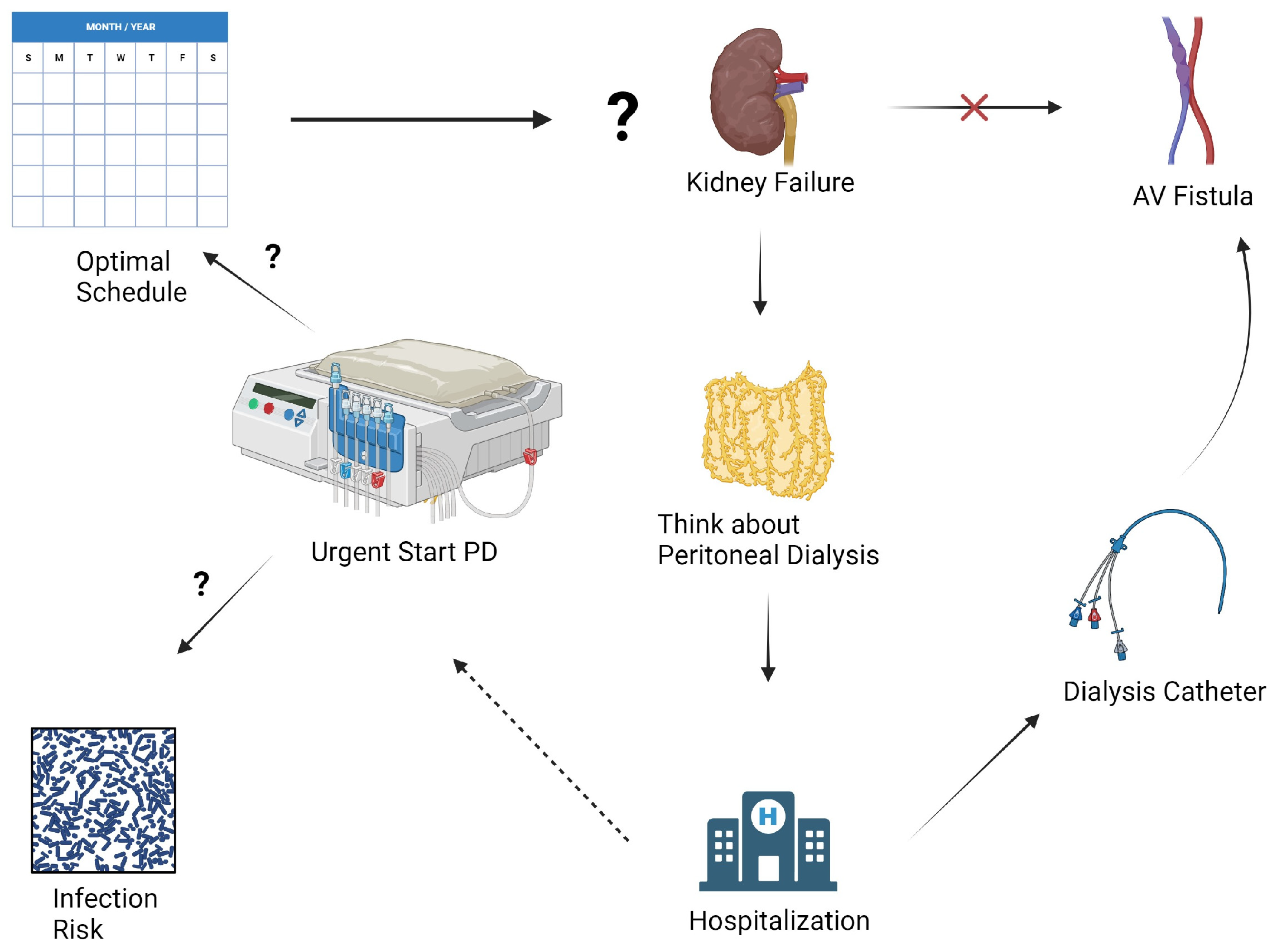 Kidneydial 04 00002 g001