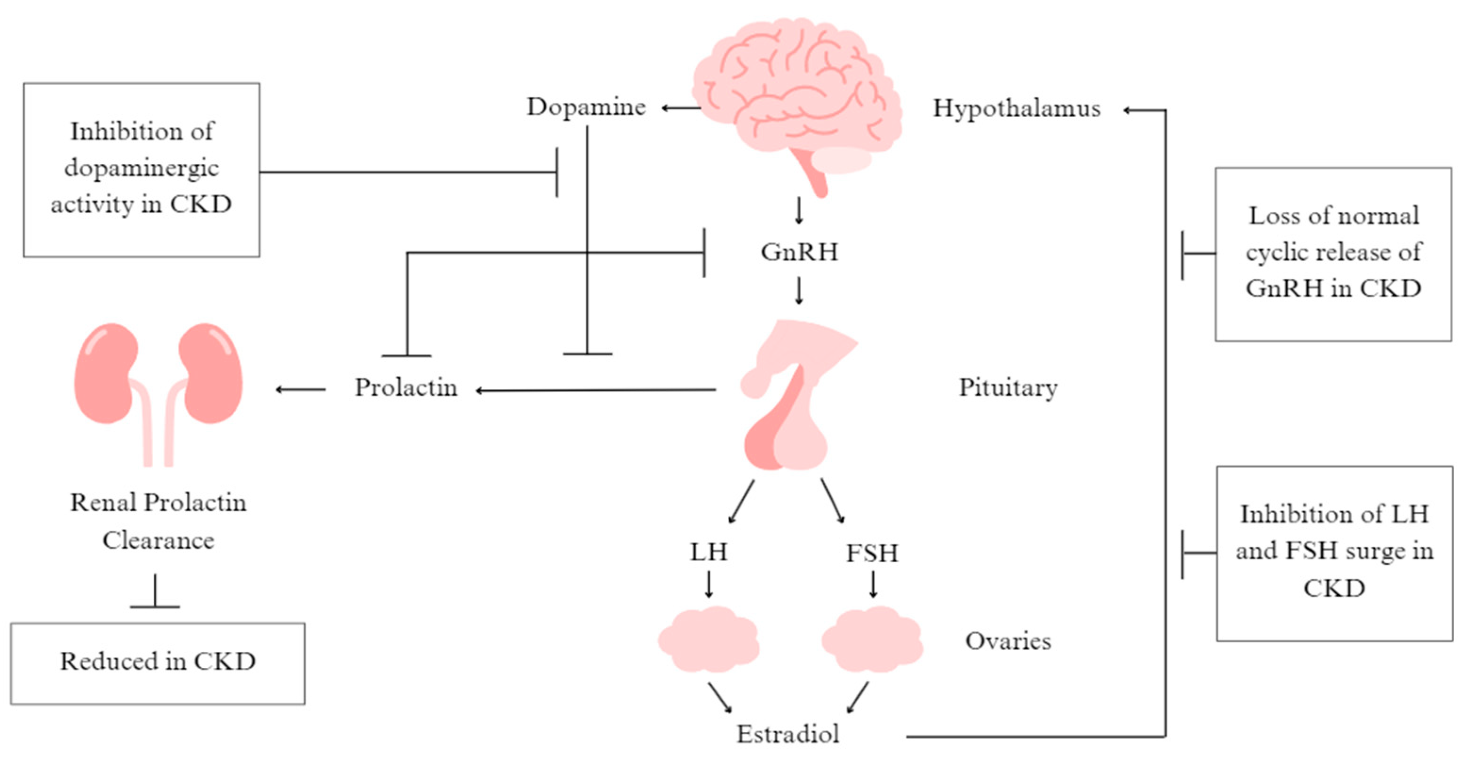 Kidneydial 04 00005 g002