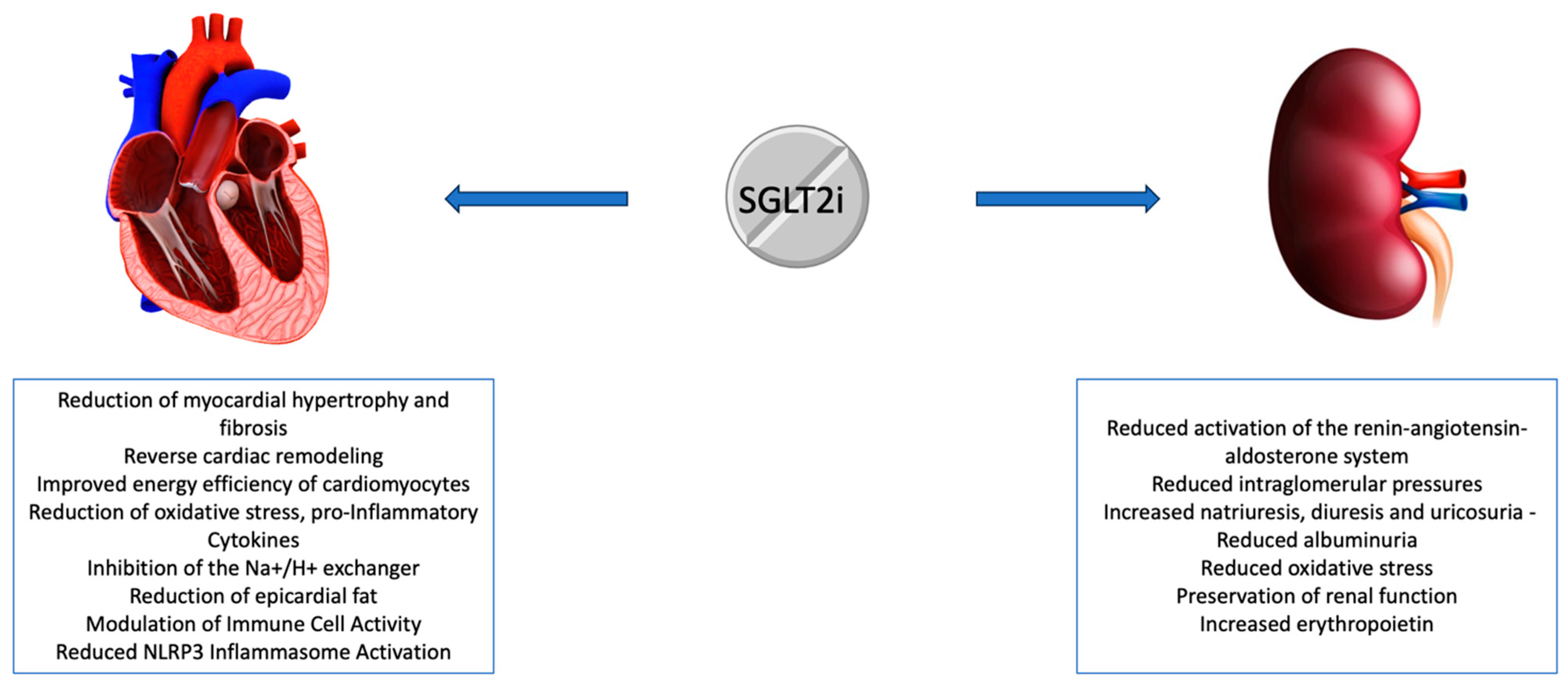Kidneydial 04 00016 g001