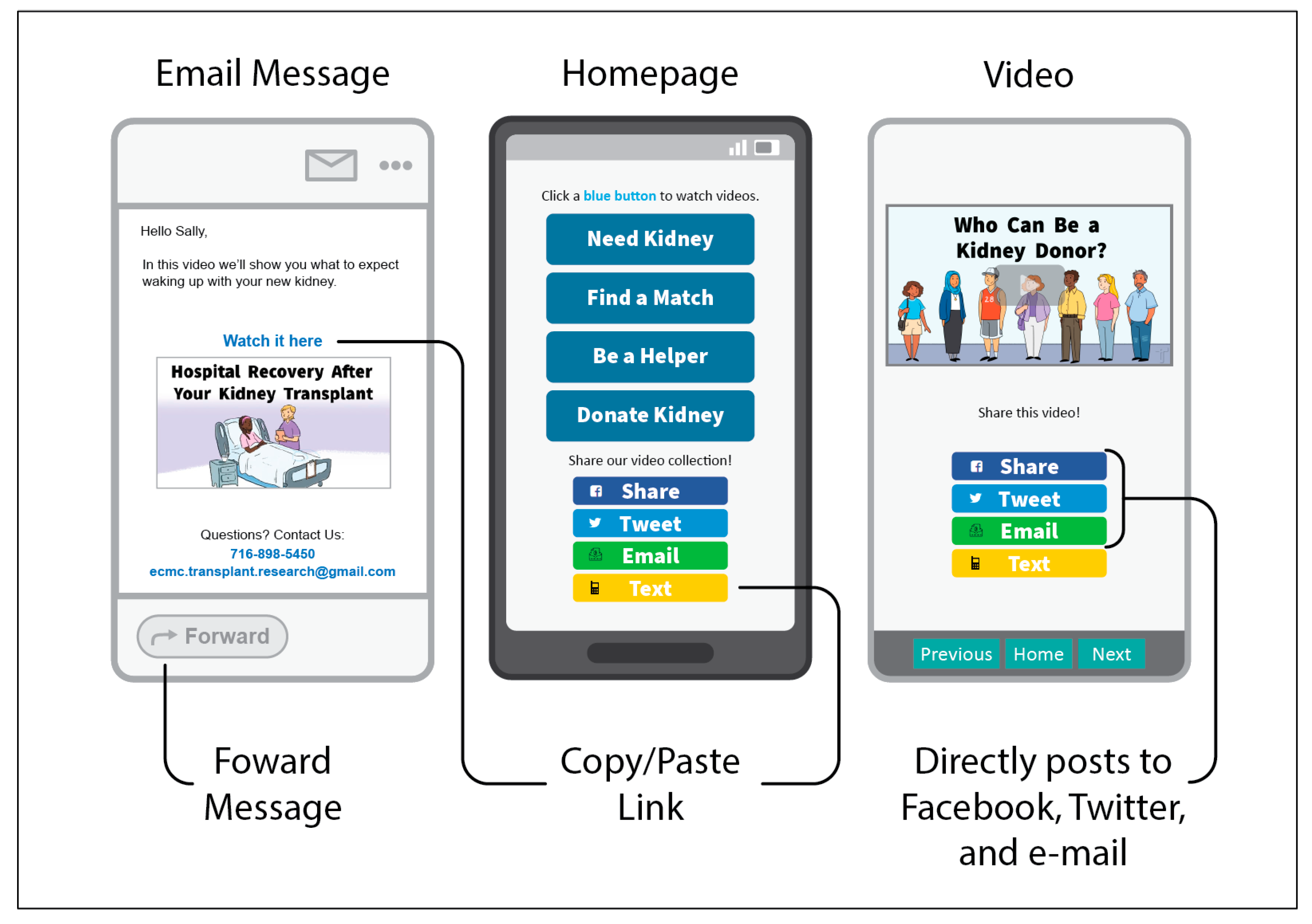 Kidneydial 05 00004 g001
