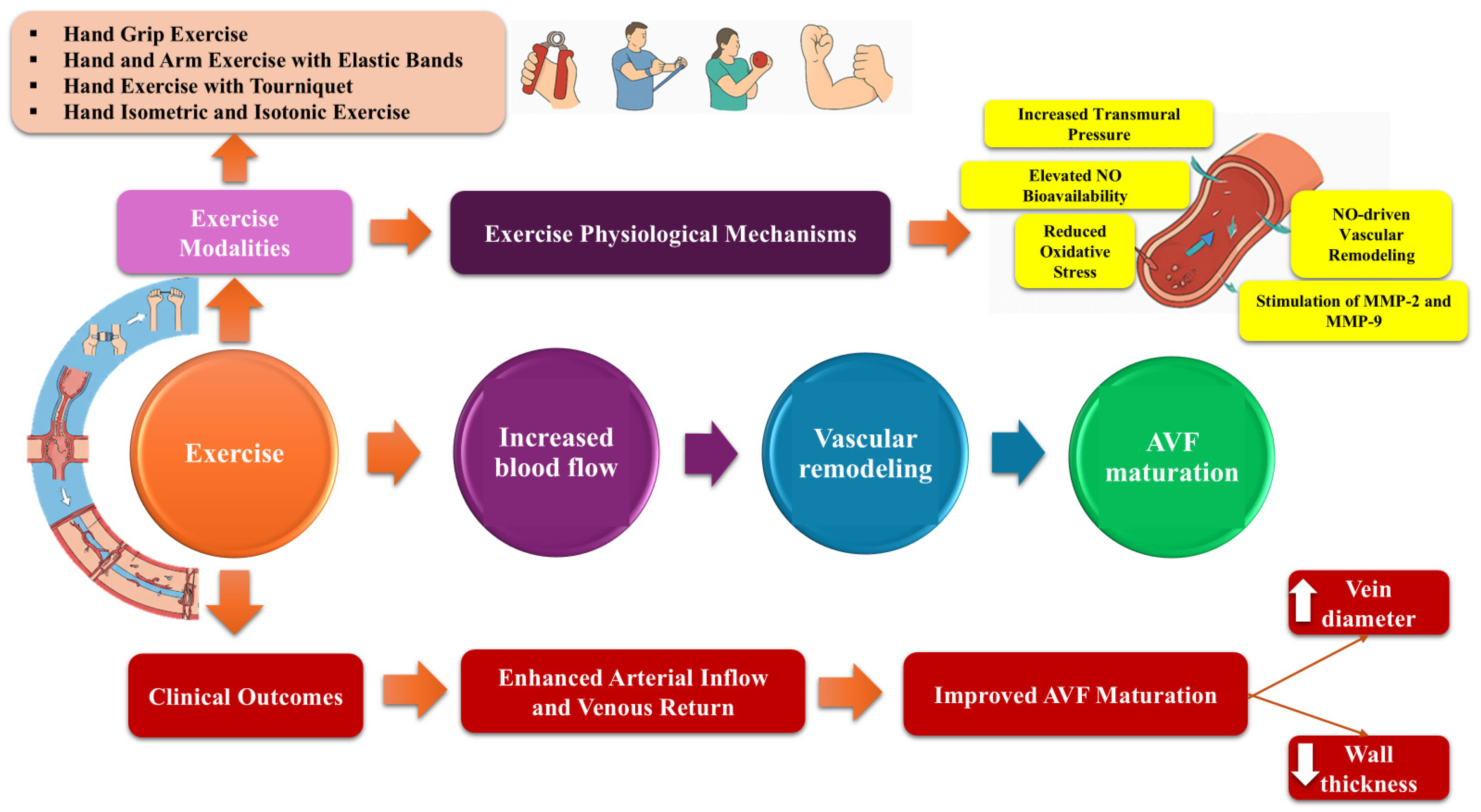 Kidneydial 05 00031 g002