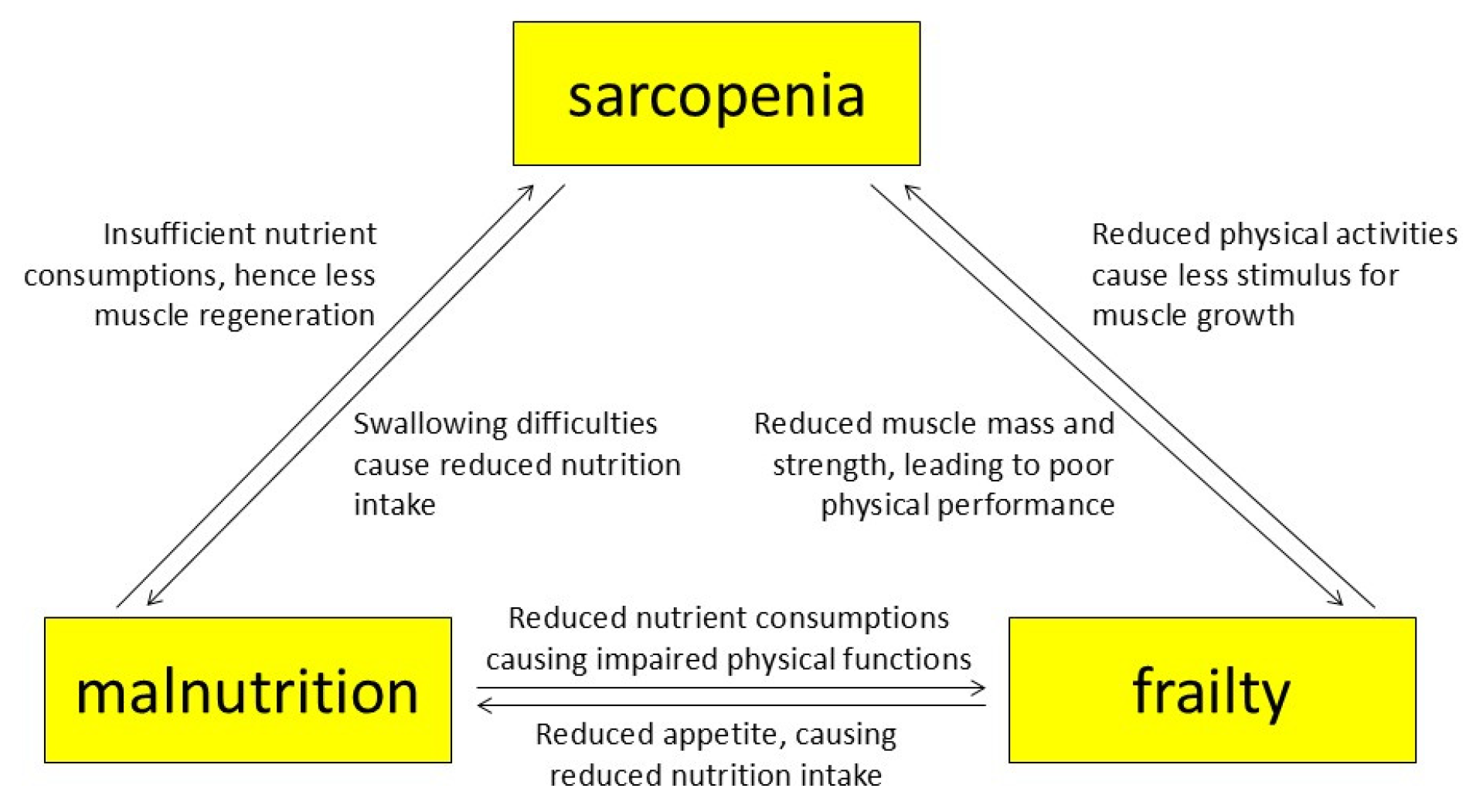 Kidneydial 06 00016 g001