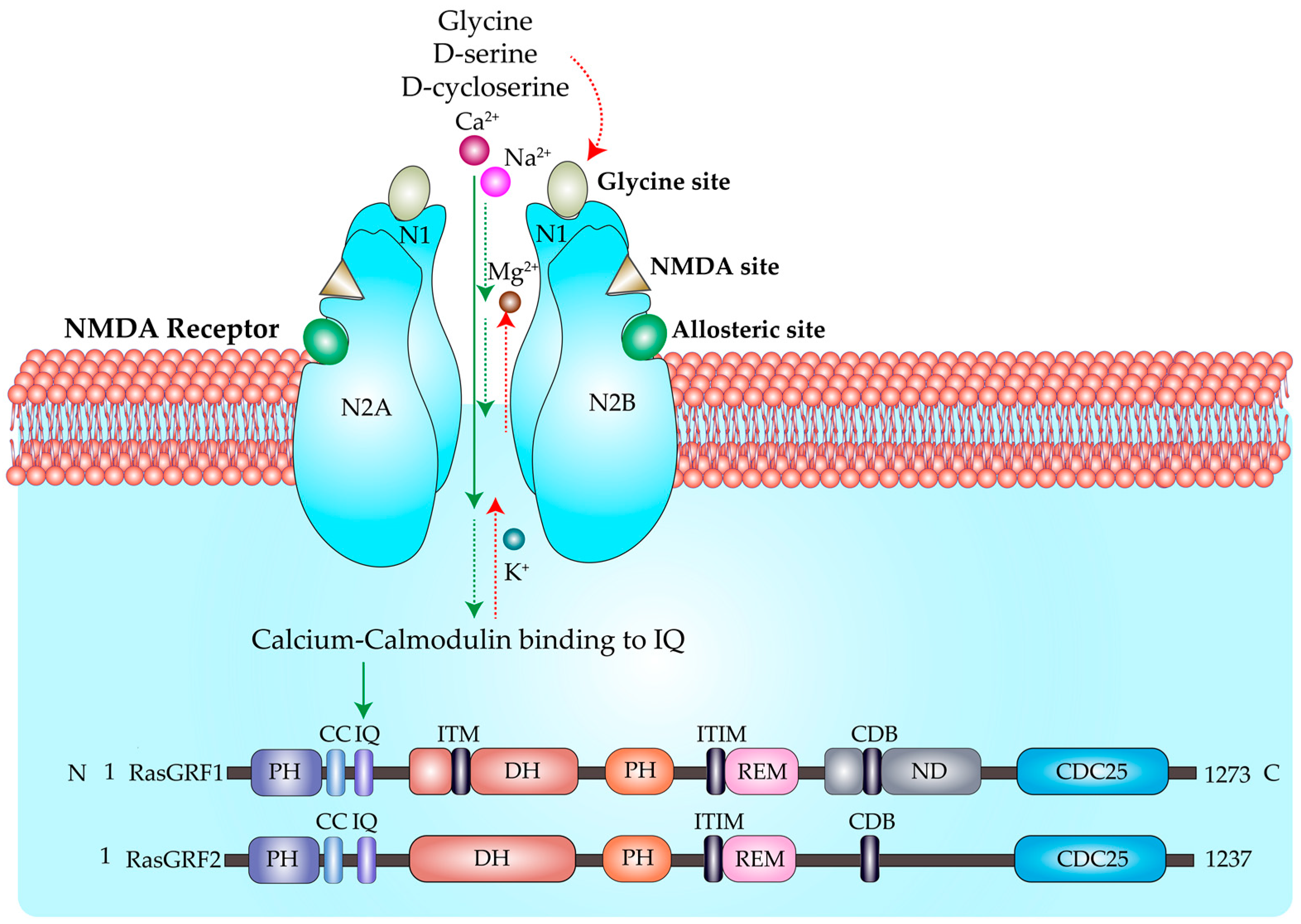 Kinasesphosphatases 01 00007 g003