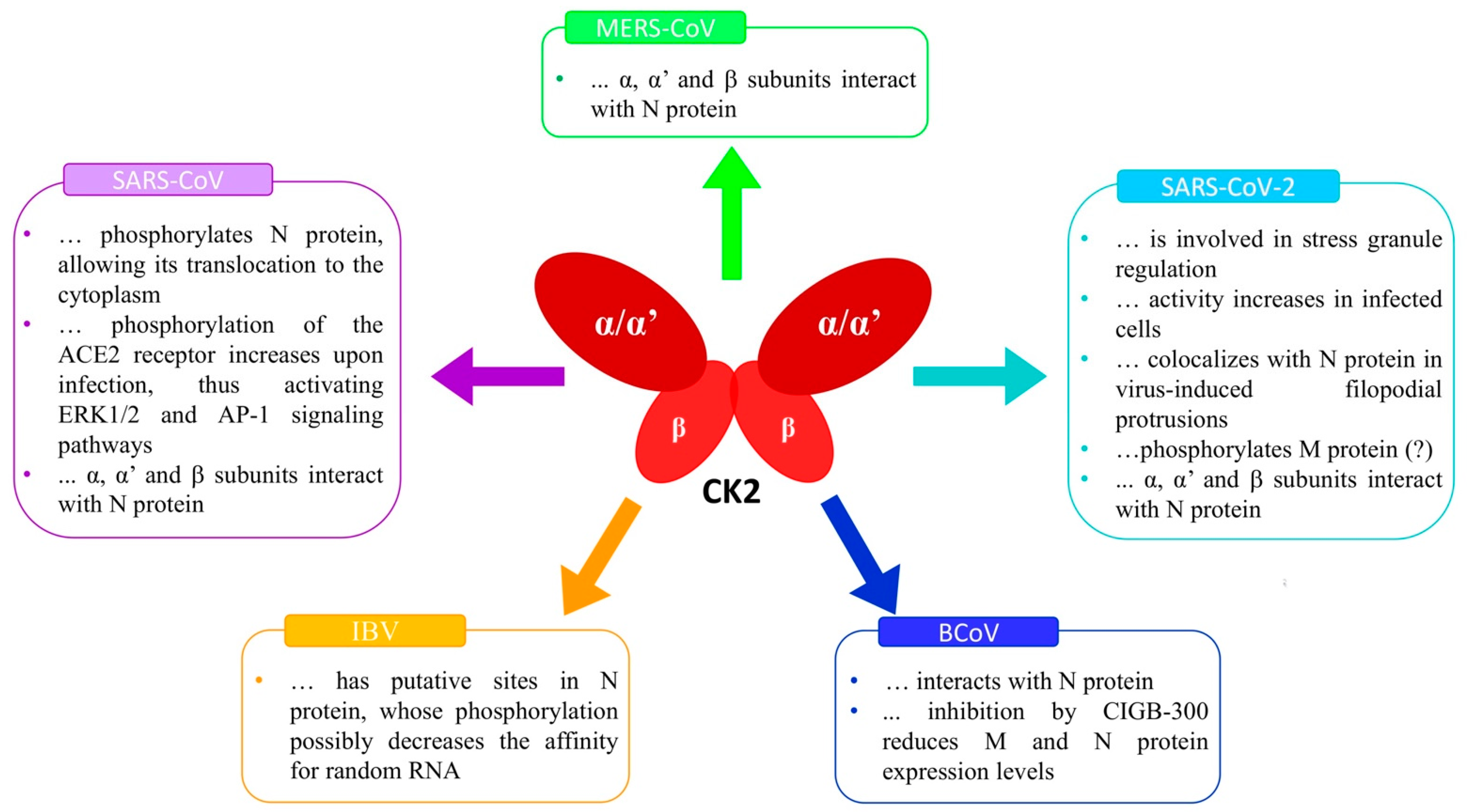 Kinasesphosphatases 01 00009 g001