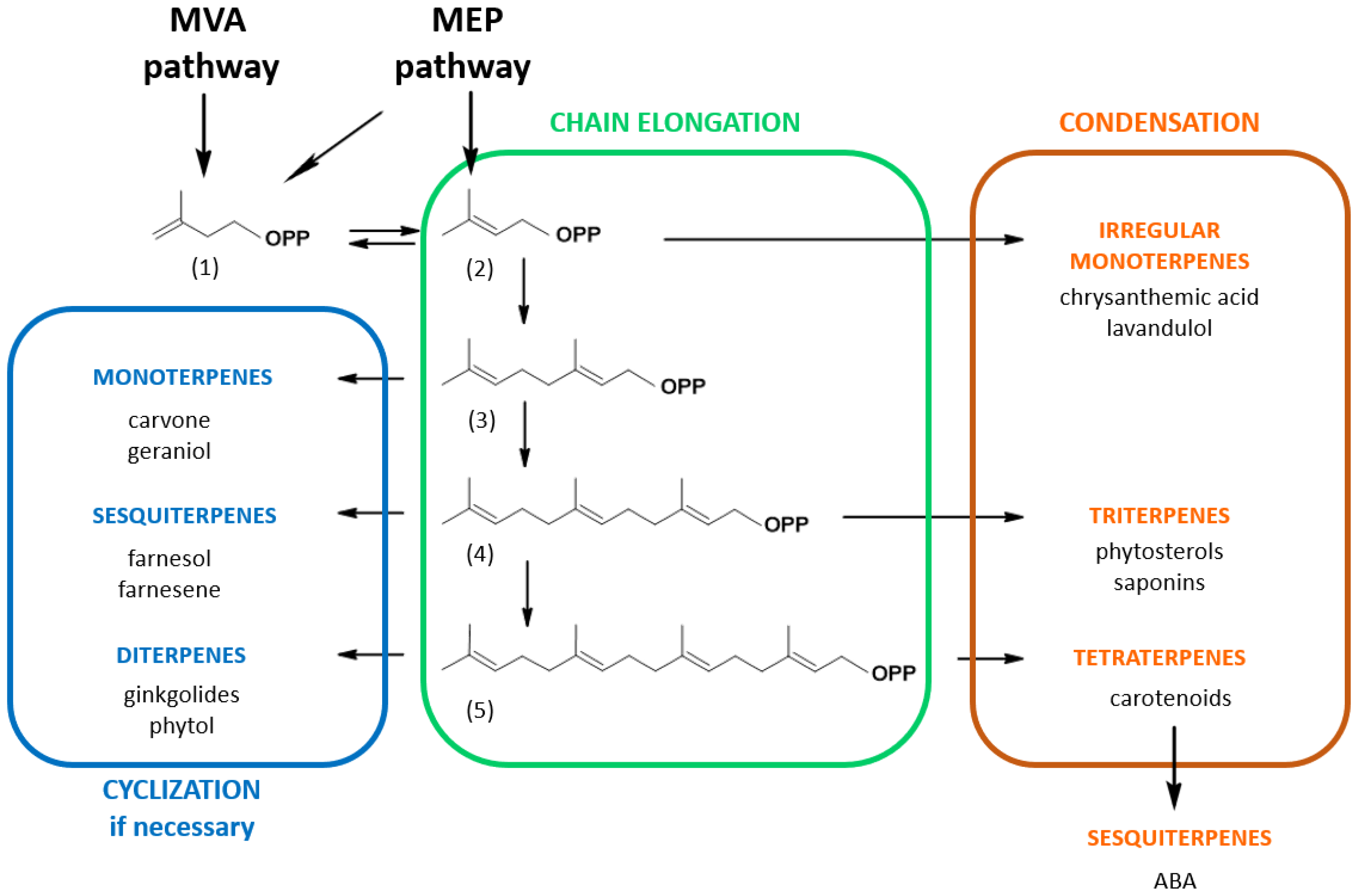 Kinasesphosphatases 01 00010 g001