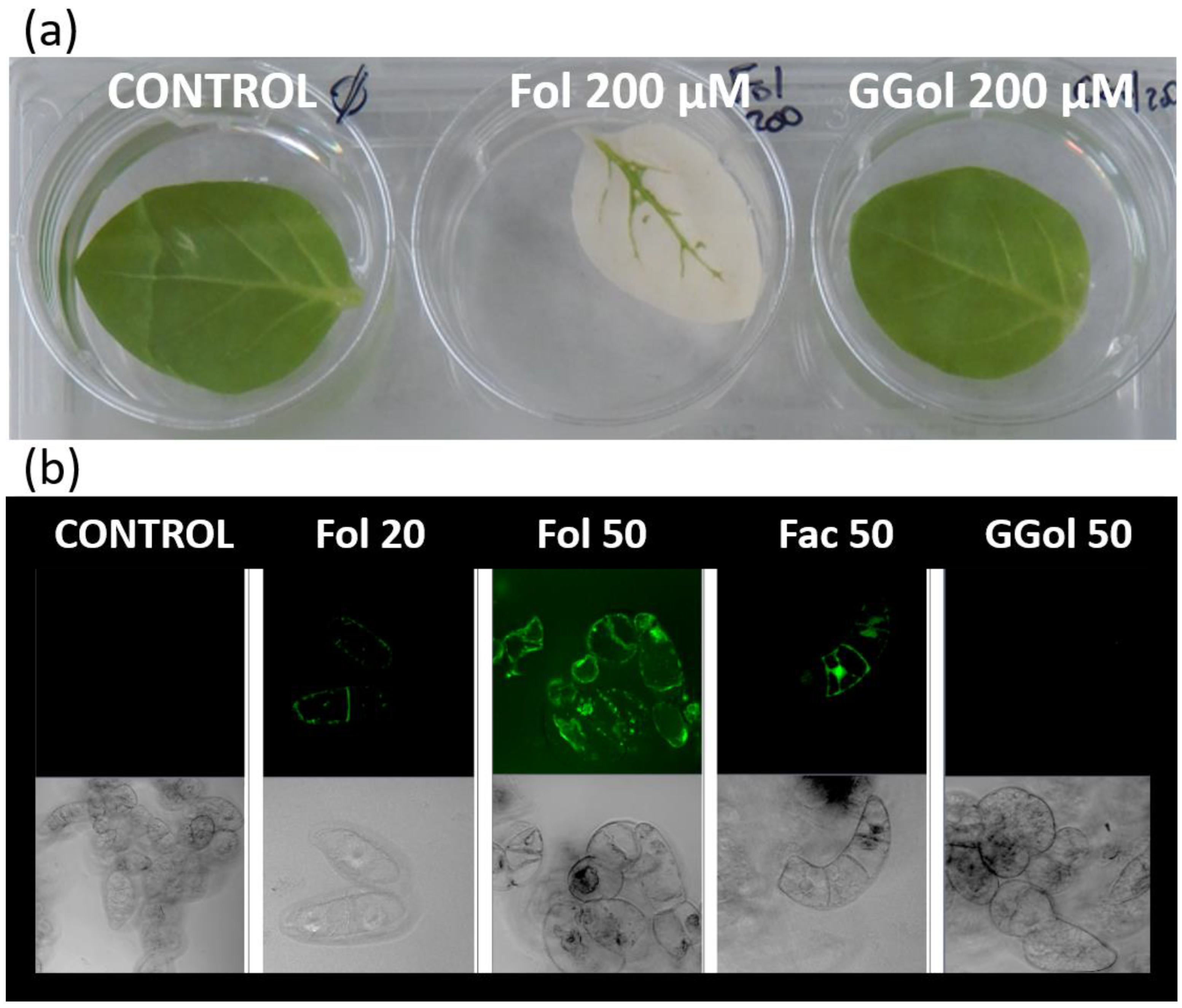 Kinasesphosphatases 01 00010 g002