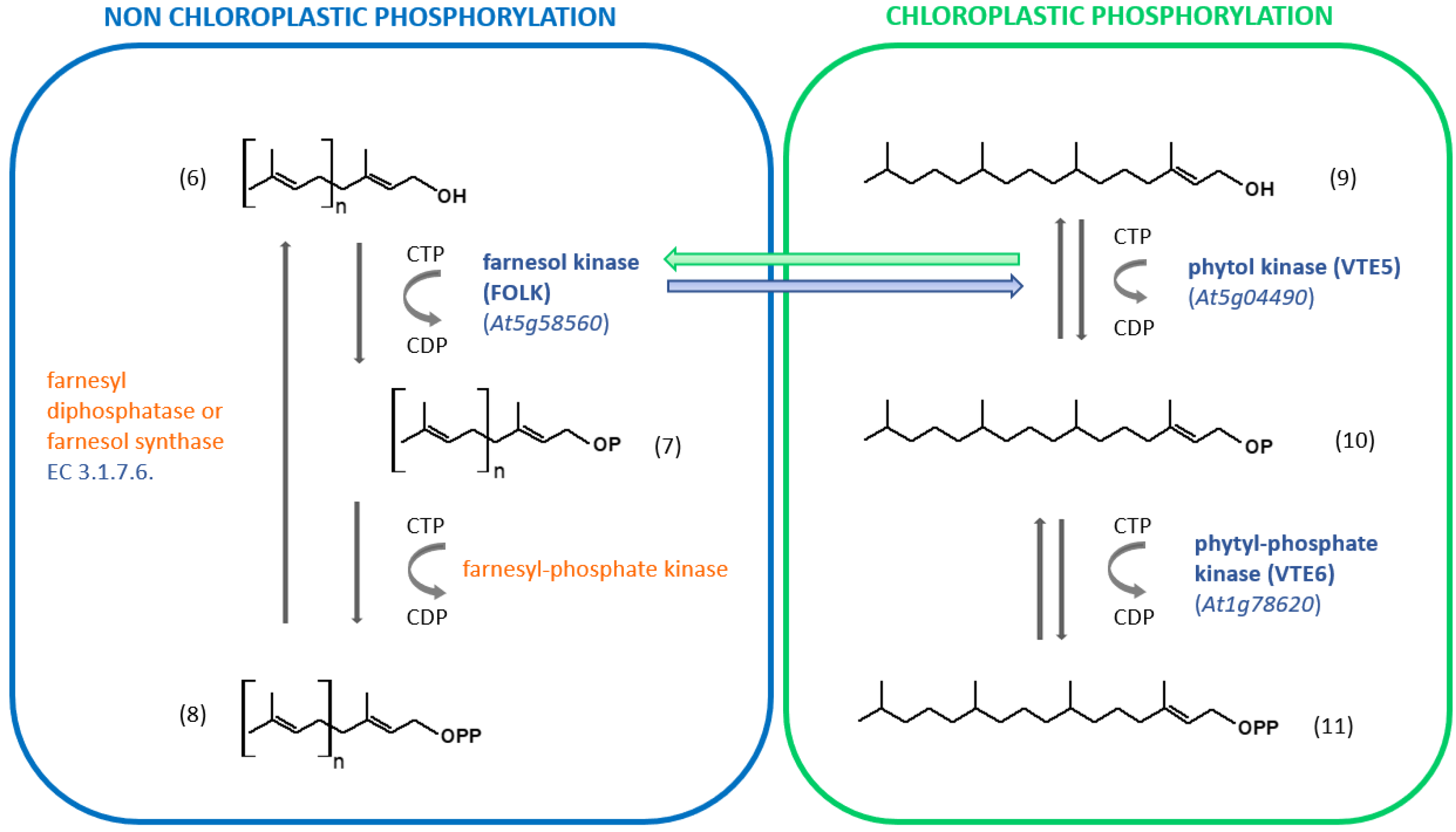 Kinasesphosphatases 01 00010 g003