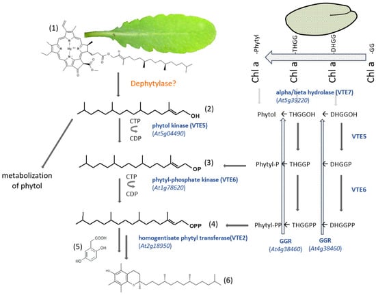 Kinasesphosphatases 01 00010 g005