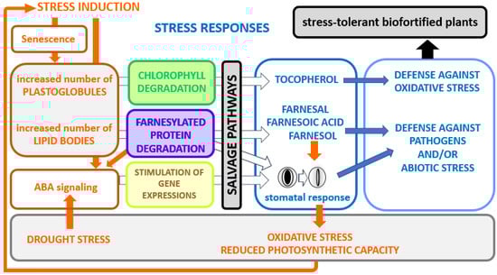 Kinasesphosphatases 01 00010 g006
