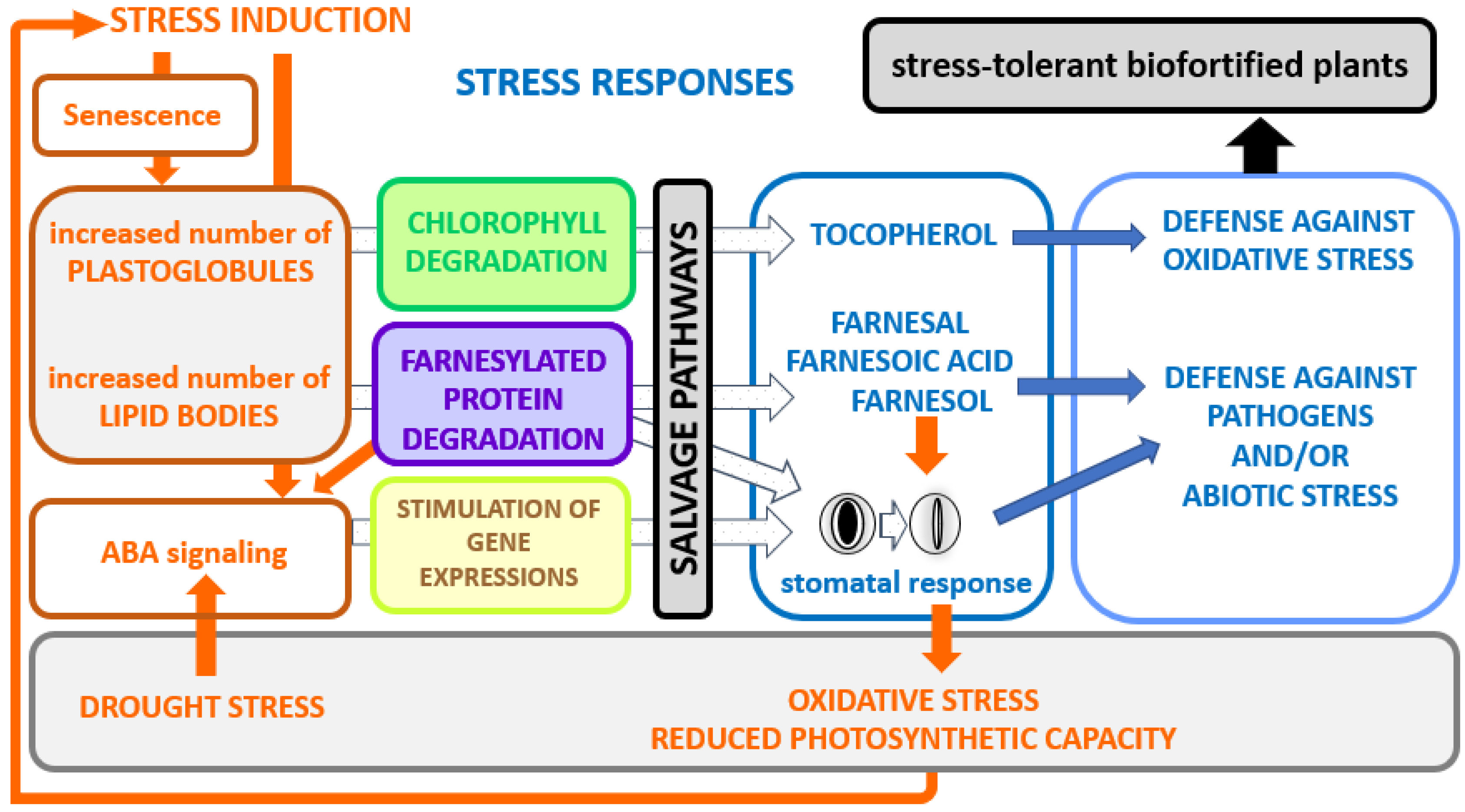 Kinasesphosphatases 01 00010 g006