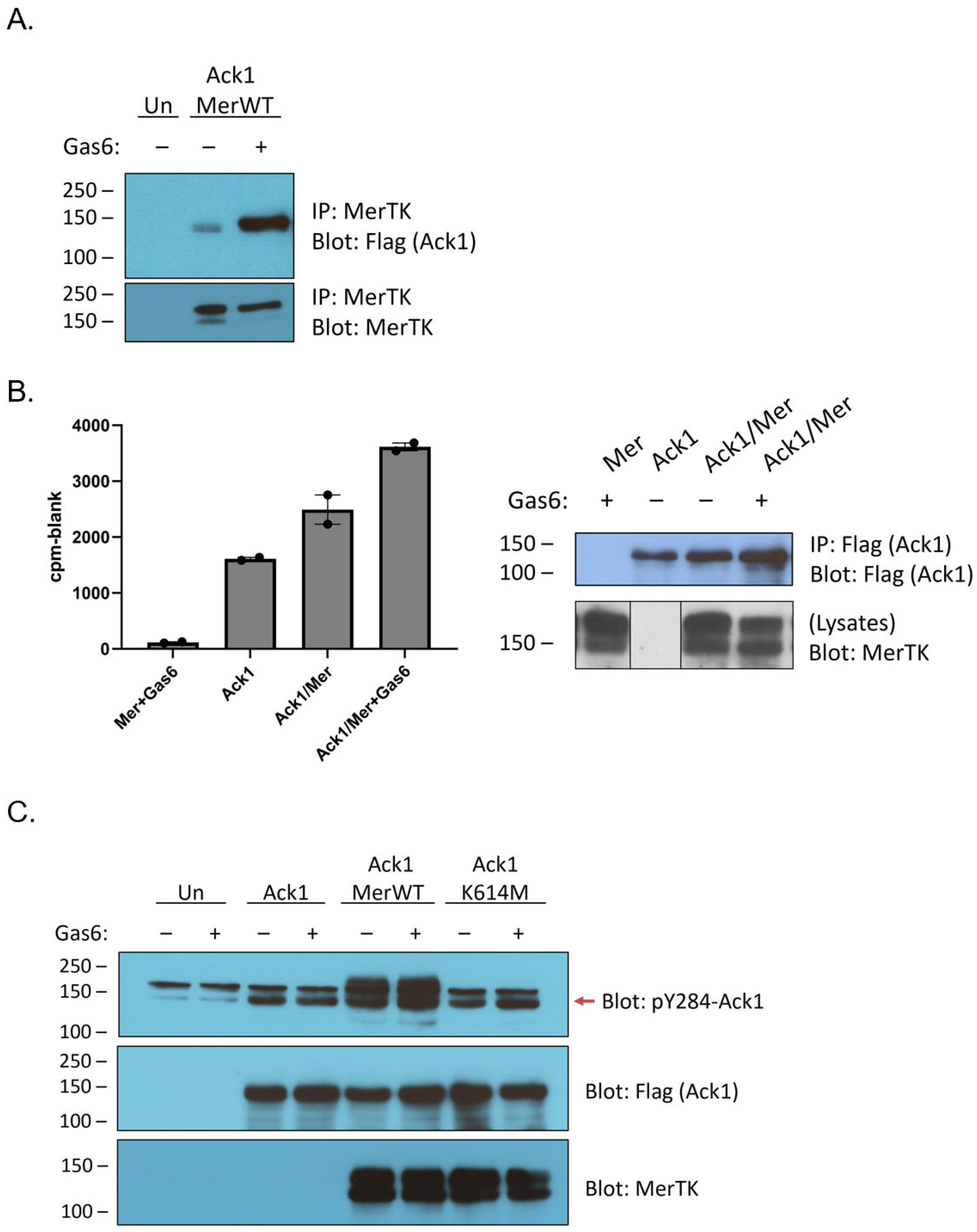 Kinasesphosphatases 01 00011 g001