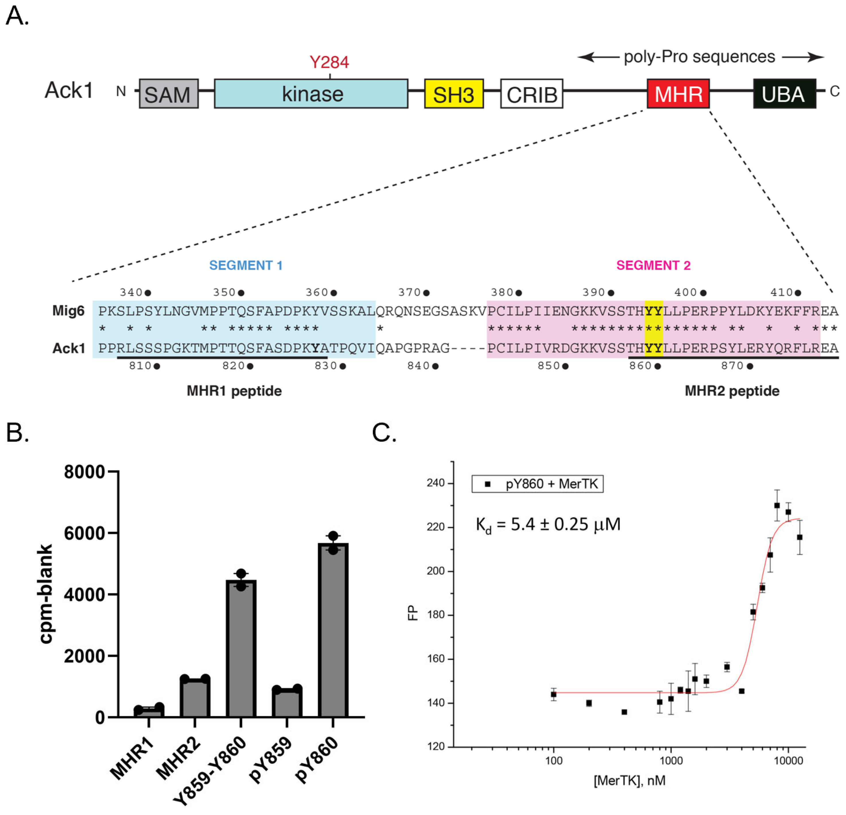 Kinasesphosphatases 01 00011 g004