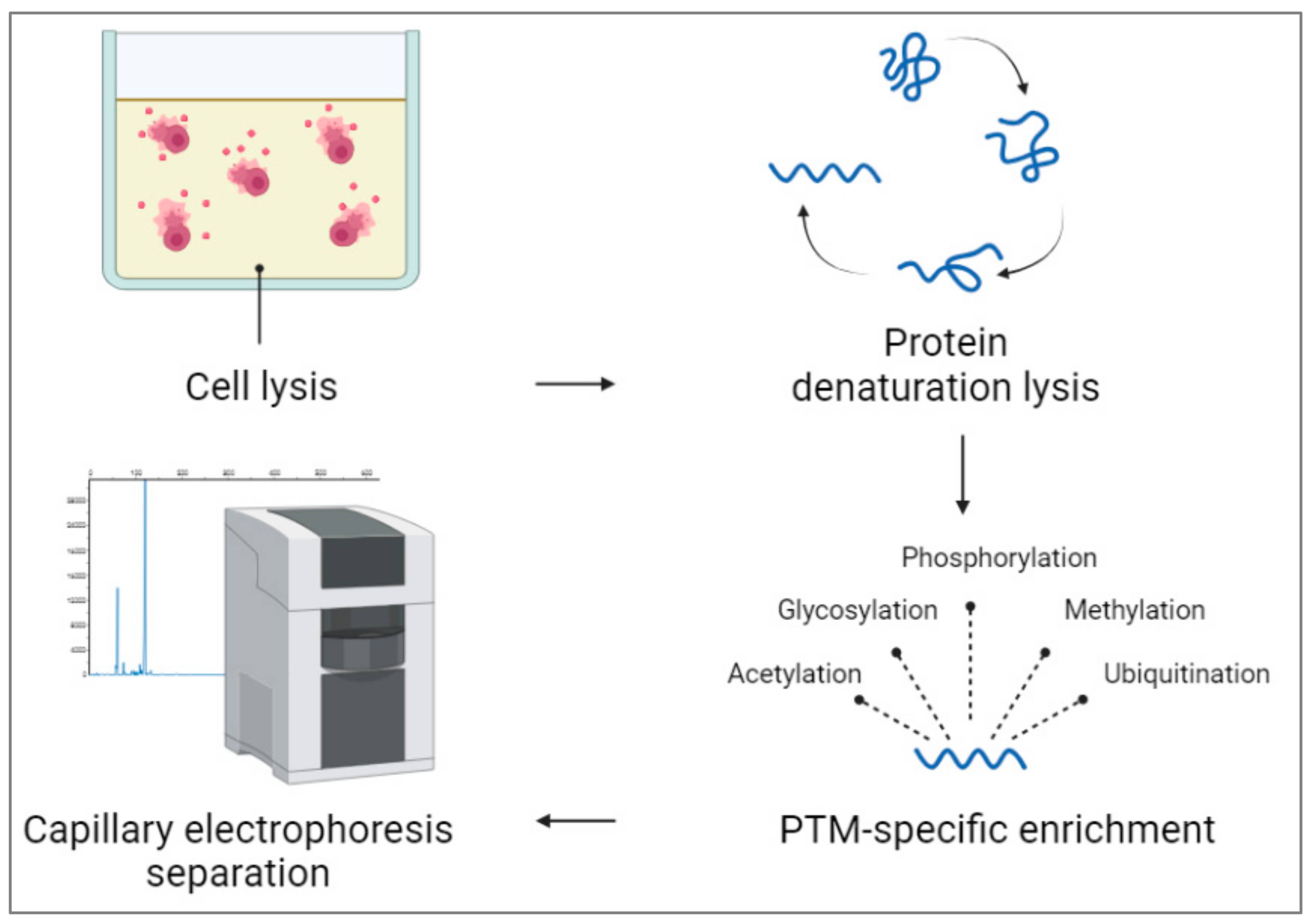 Kinasesphosphatases 01 00013 g005