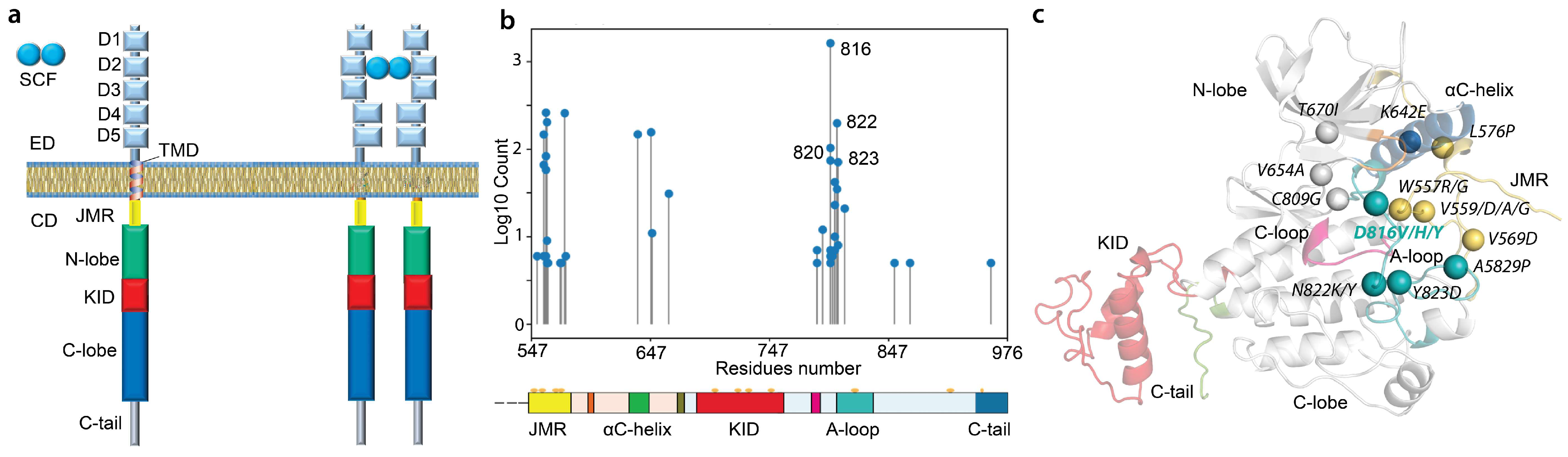 Kinasesphosphatases 01 00014 g001 Kinasesphosphatases 01 00014 g001