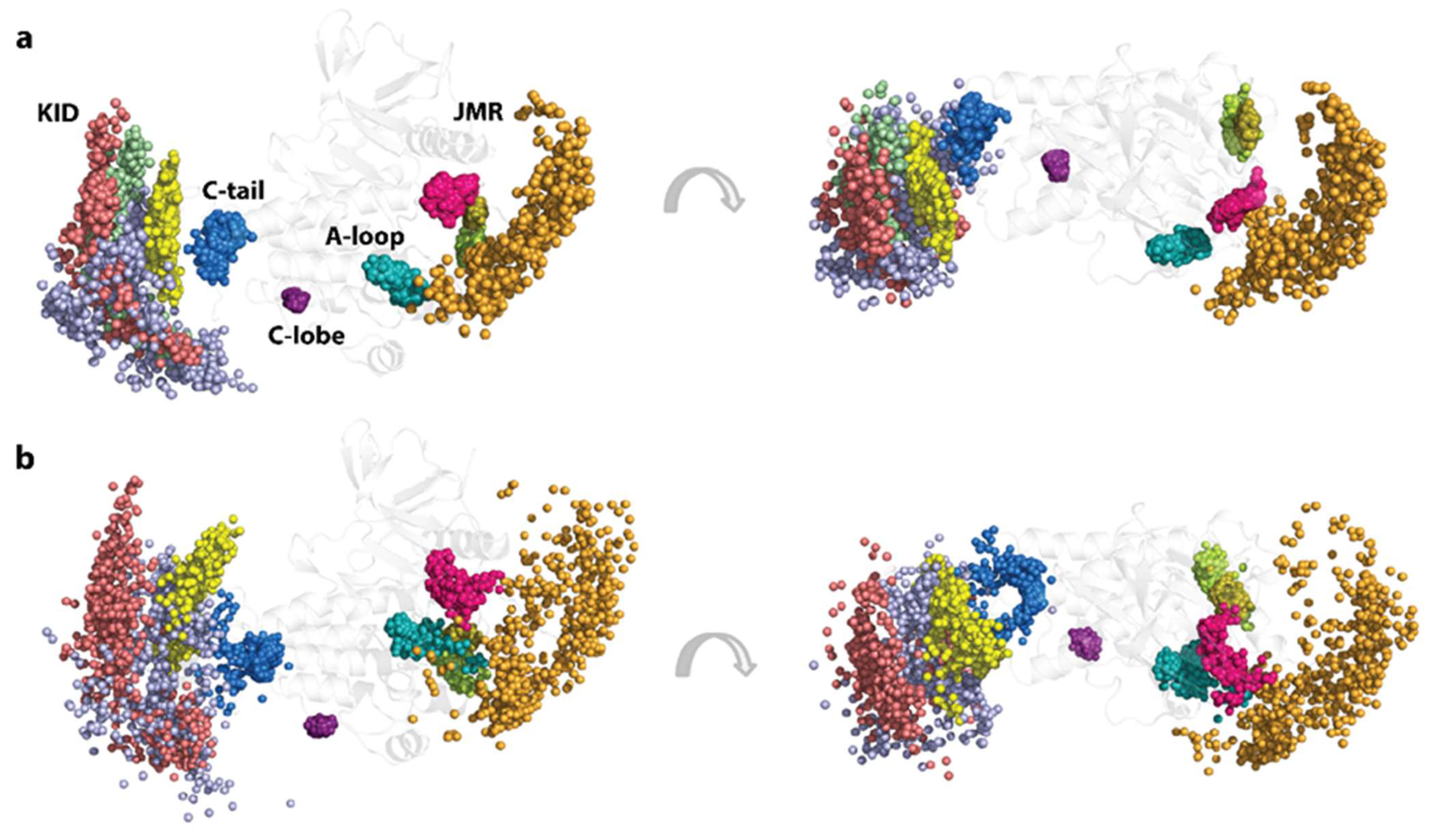 Kinasesphosphatases 01 00014 g005 Kinasesphosphatases 01 00014 g005