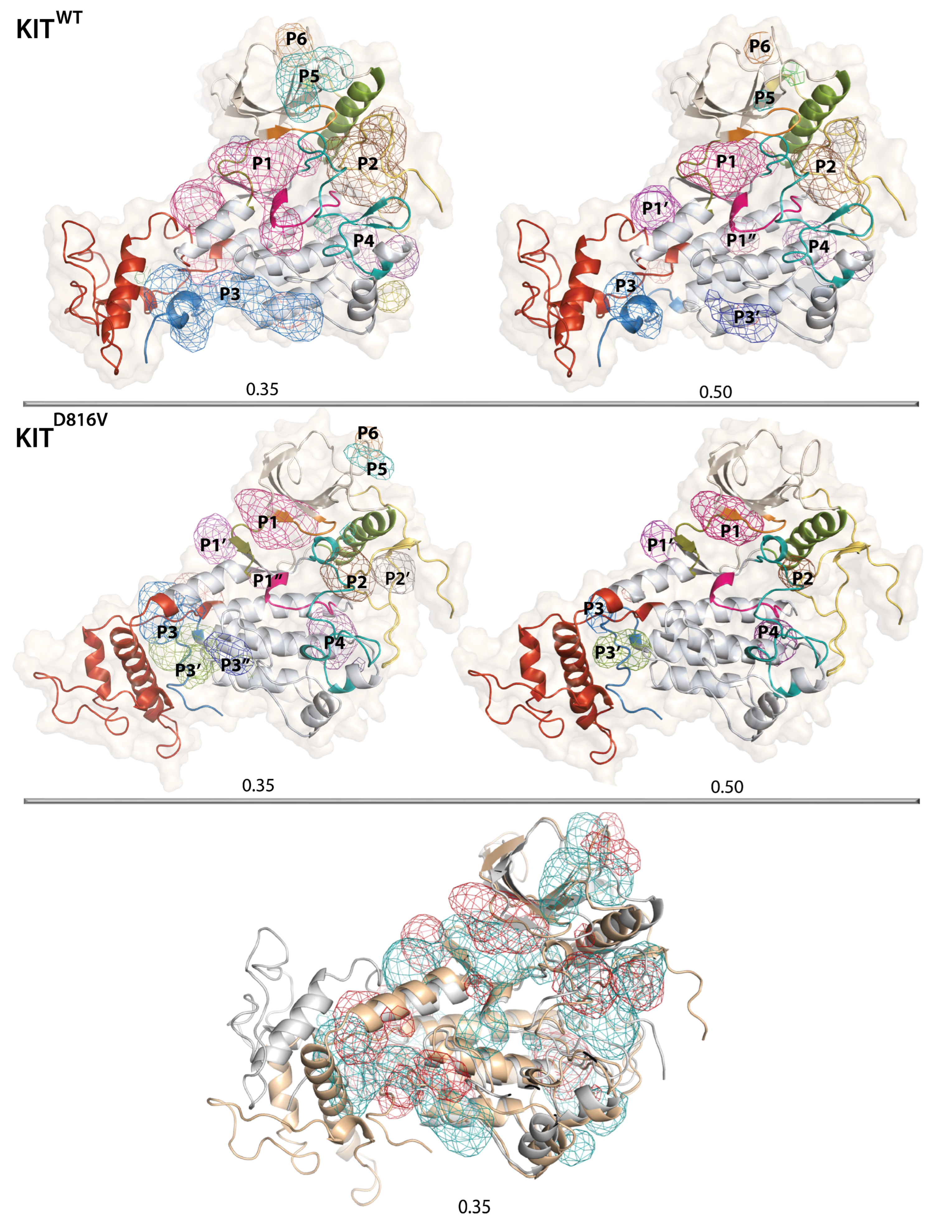 Kinasesphosphatases 01 00014 g009 Kinasesphosphatases 01 00014 g009