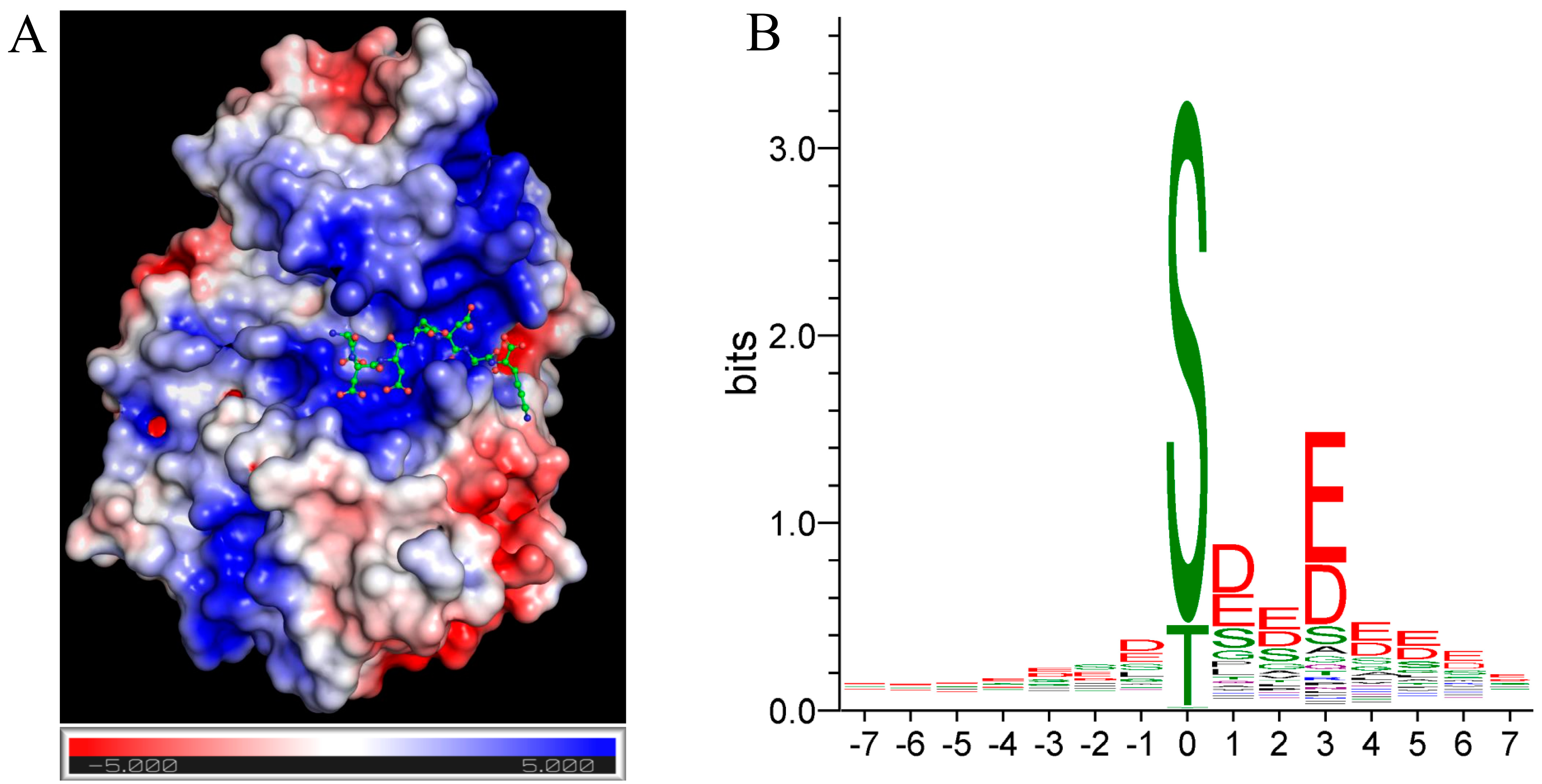 Kinasesphosphatases 01 00015 g001