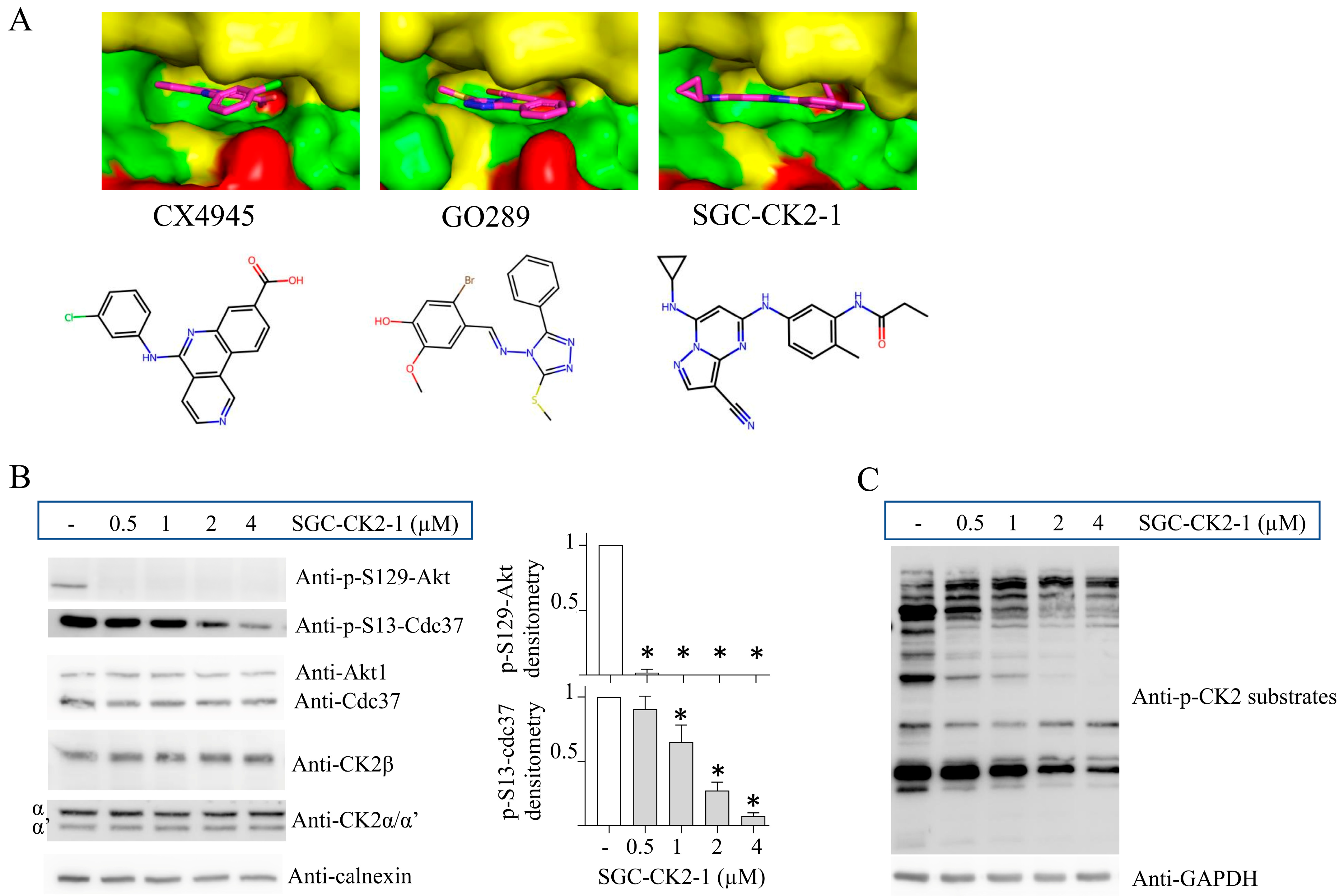 Kinasesphosphatases 01 00015 g002
