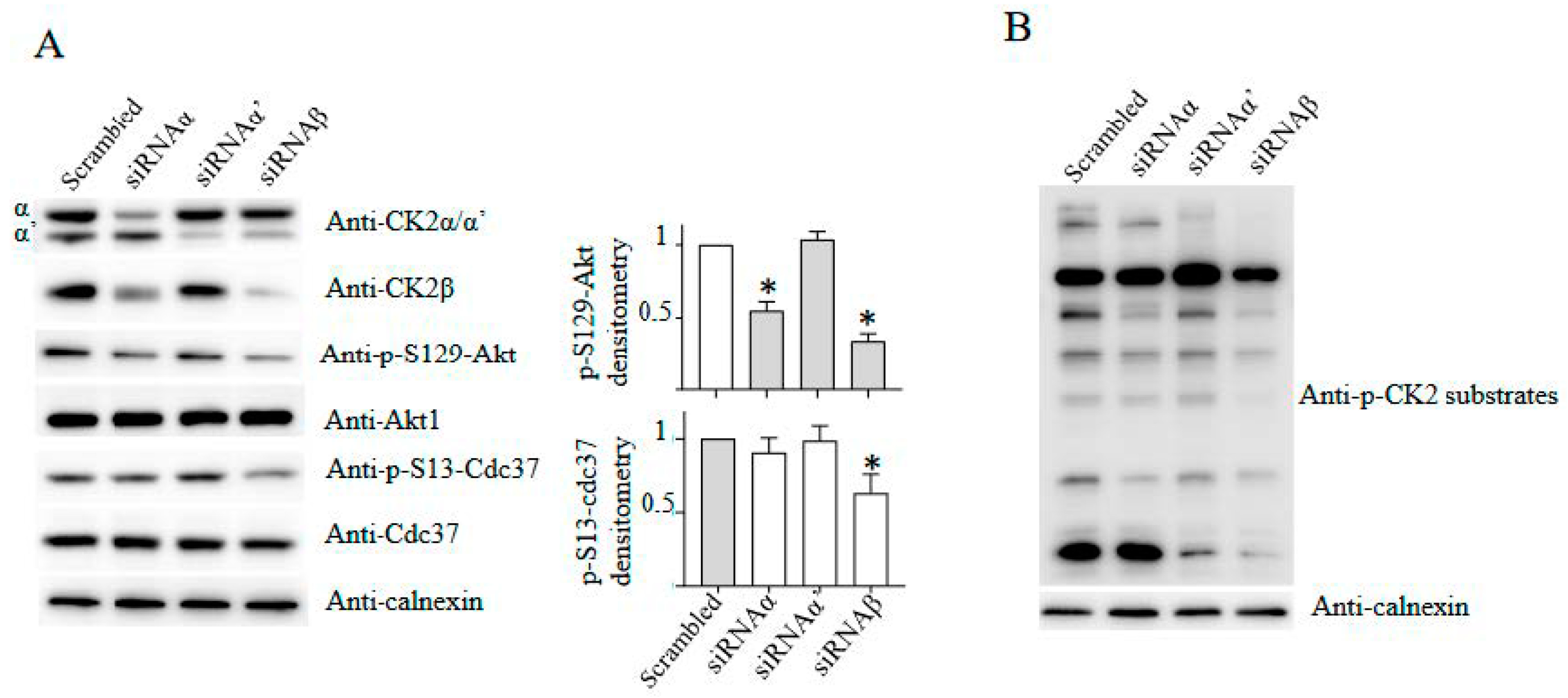 Kinasesphosphatases 01 00015 g003