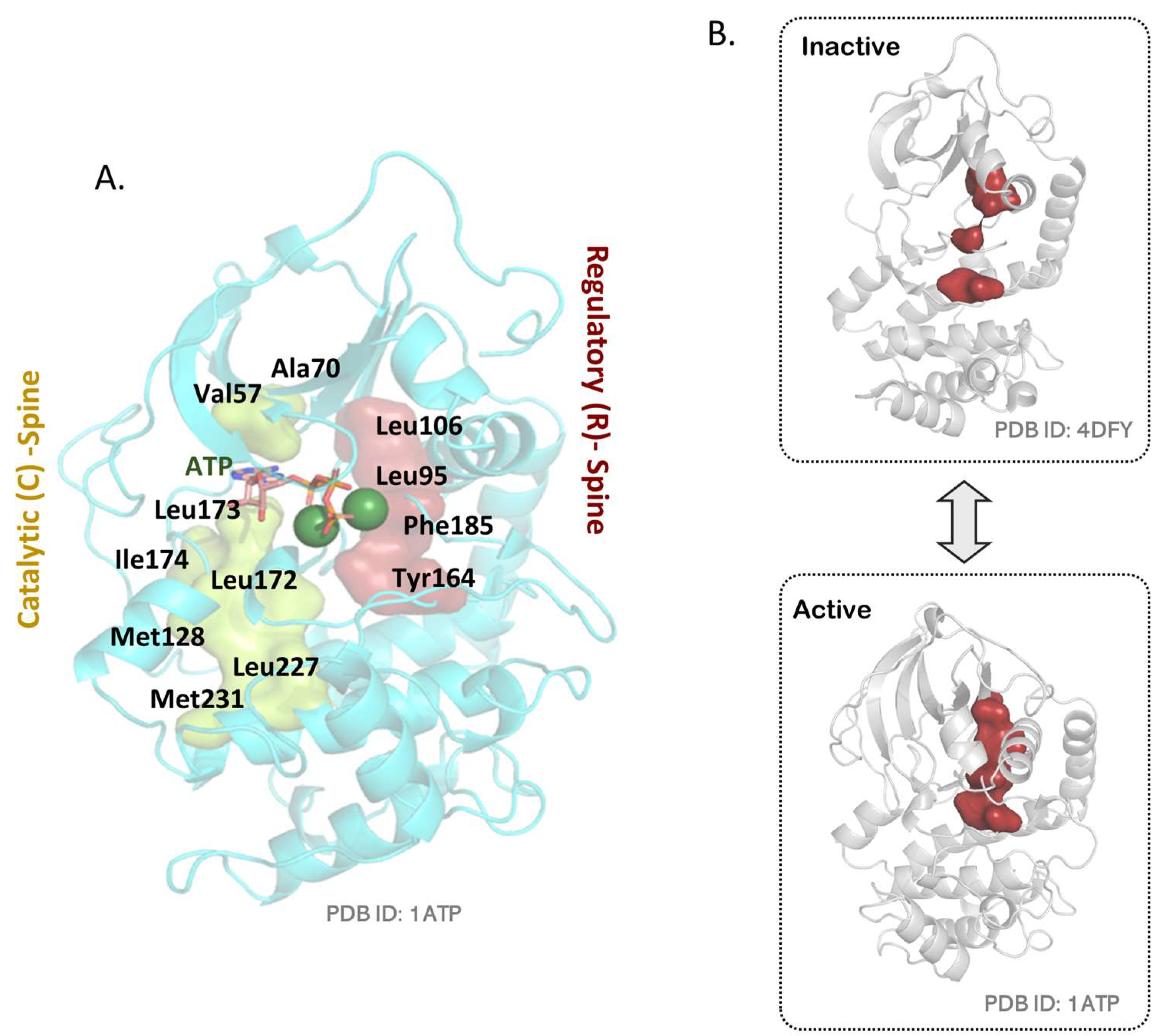 Kinasesphosphatases 01 00016 g003