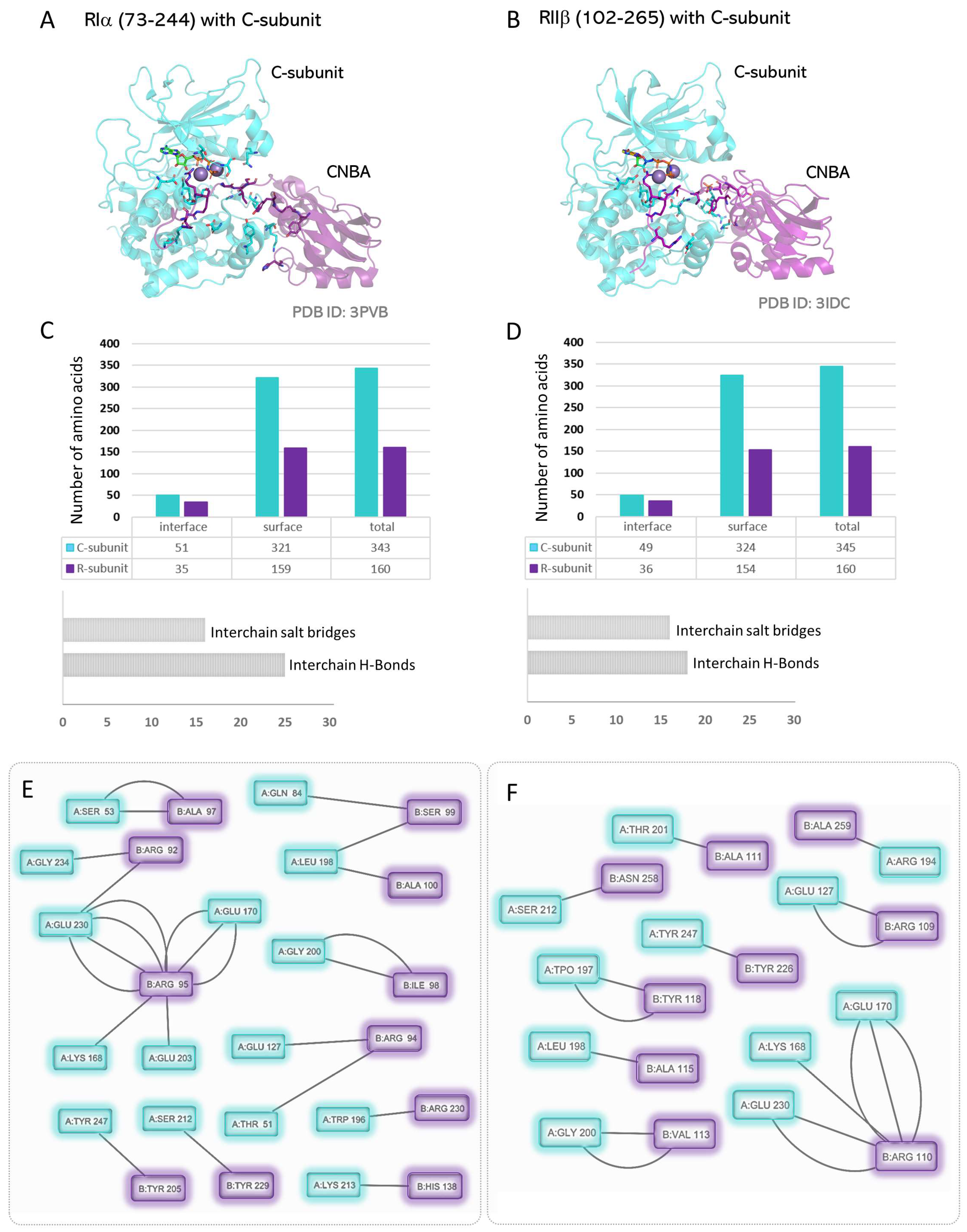 Kinasesphosphatases 01 00016 g005