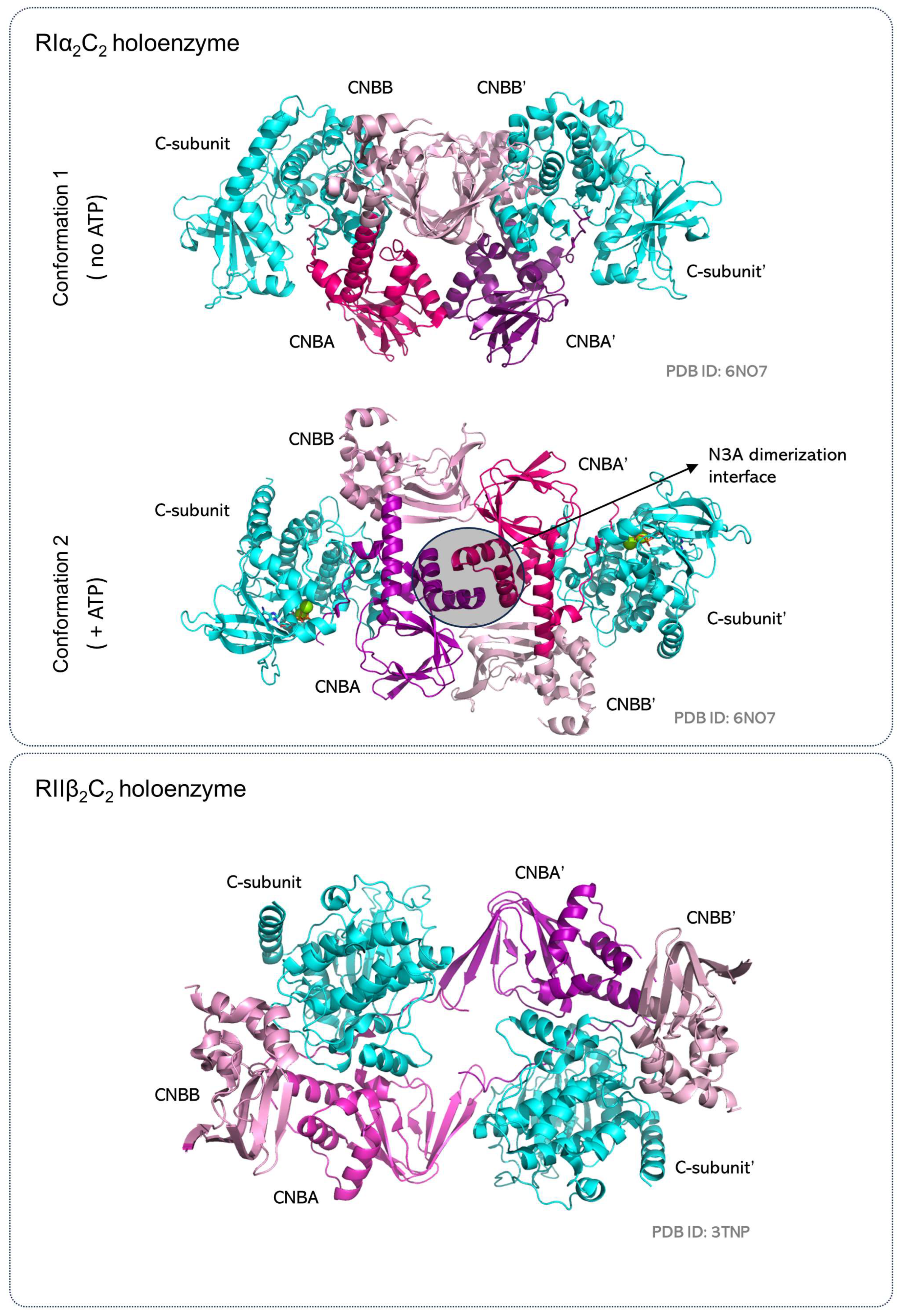 Kinasesphosphatases 01 00016 g008