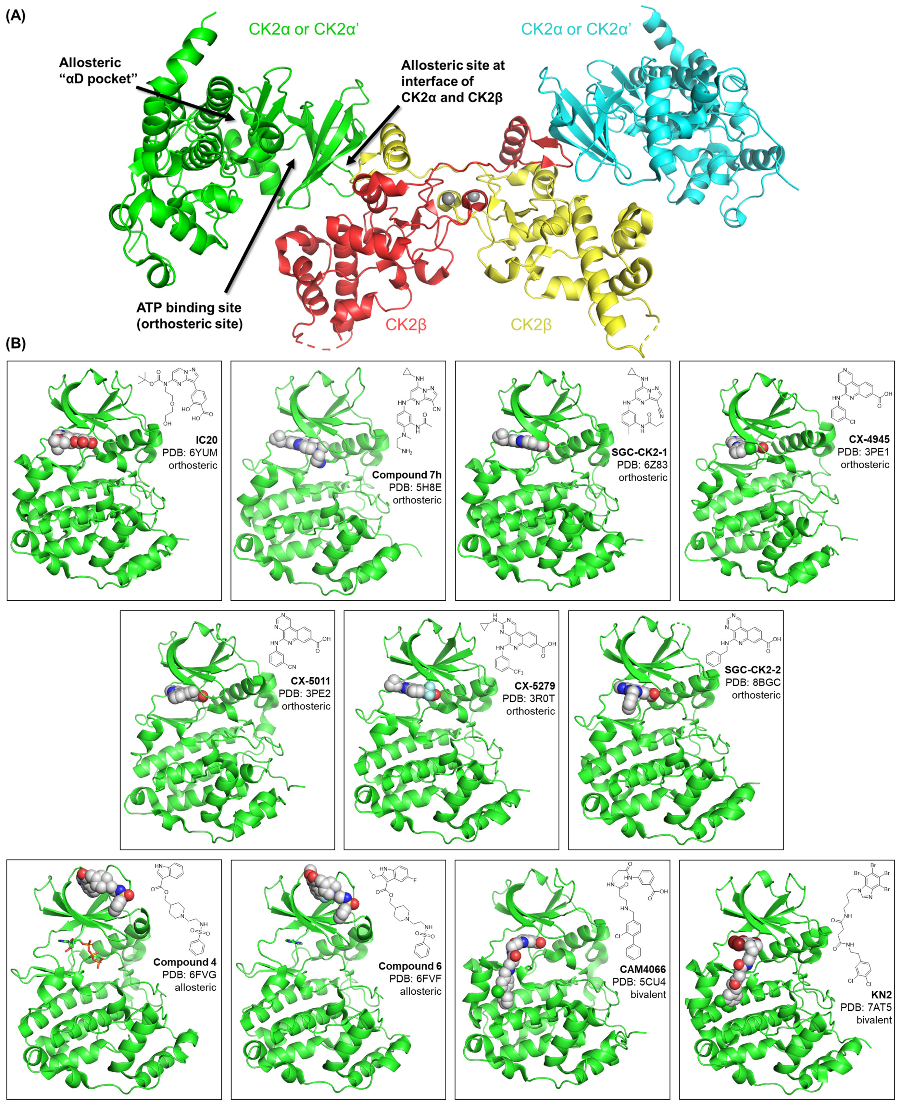 Kinasesphosphatases 01 00017 g001 Kinasesphosphatases 01 00017 g001
