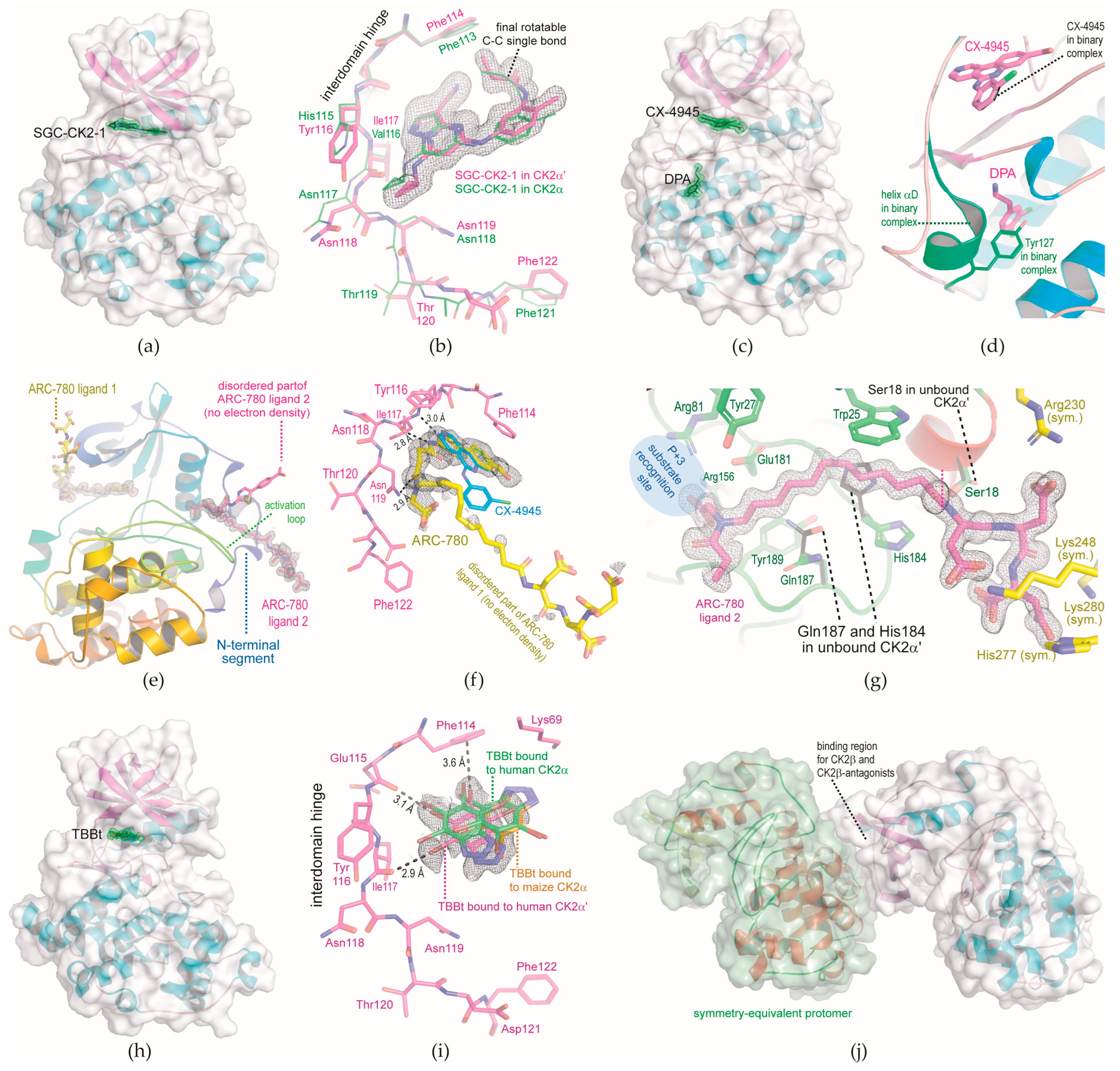 Kinasesphosphatases 01 00018 g002