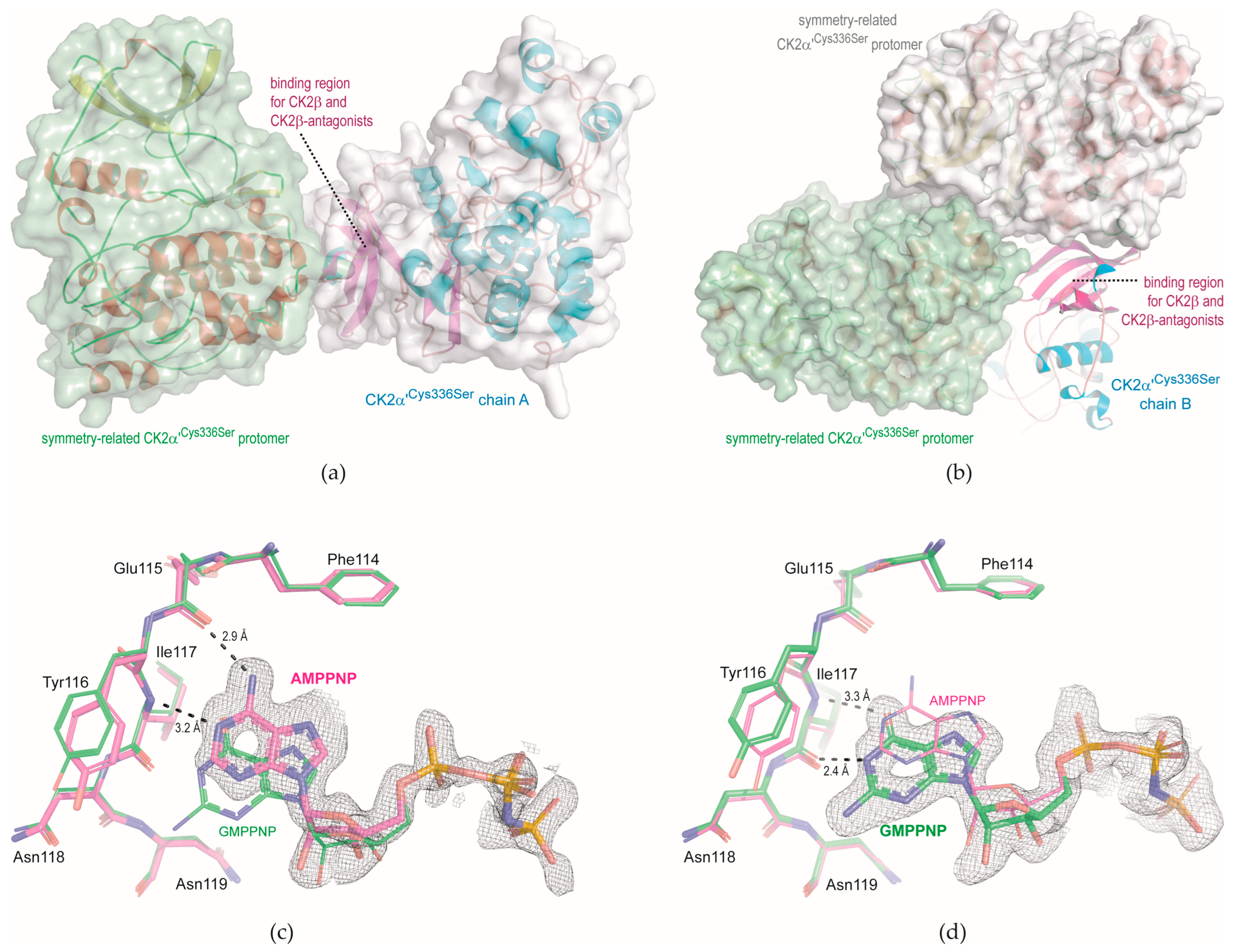 Kinasesphosphatases 01 00018 g003
