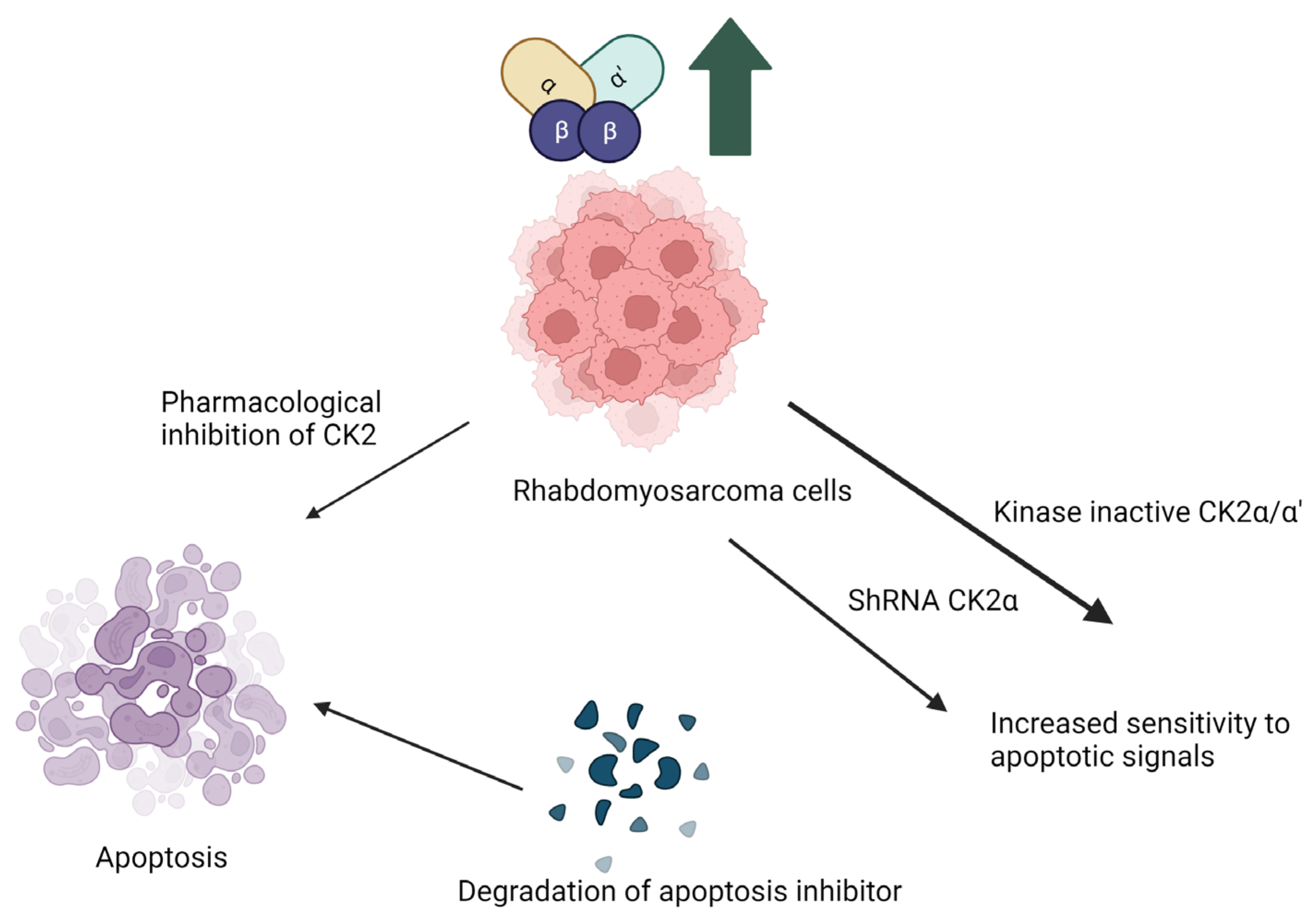 Kinasesphosphatases 02 00004 g001