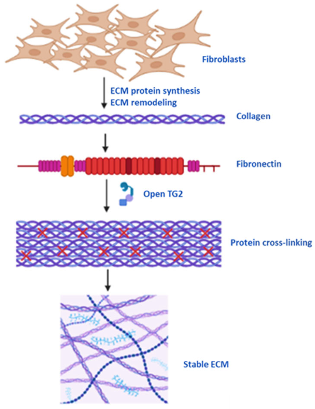 Kinasesphosphatases 02 00005 g002